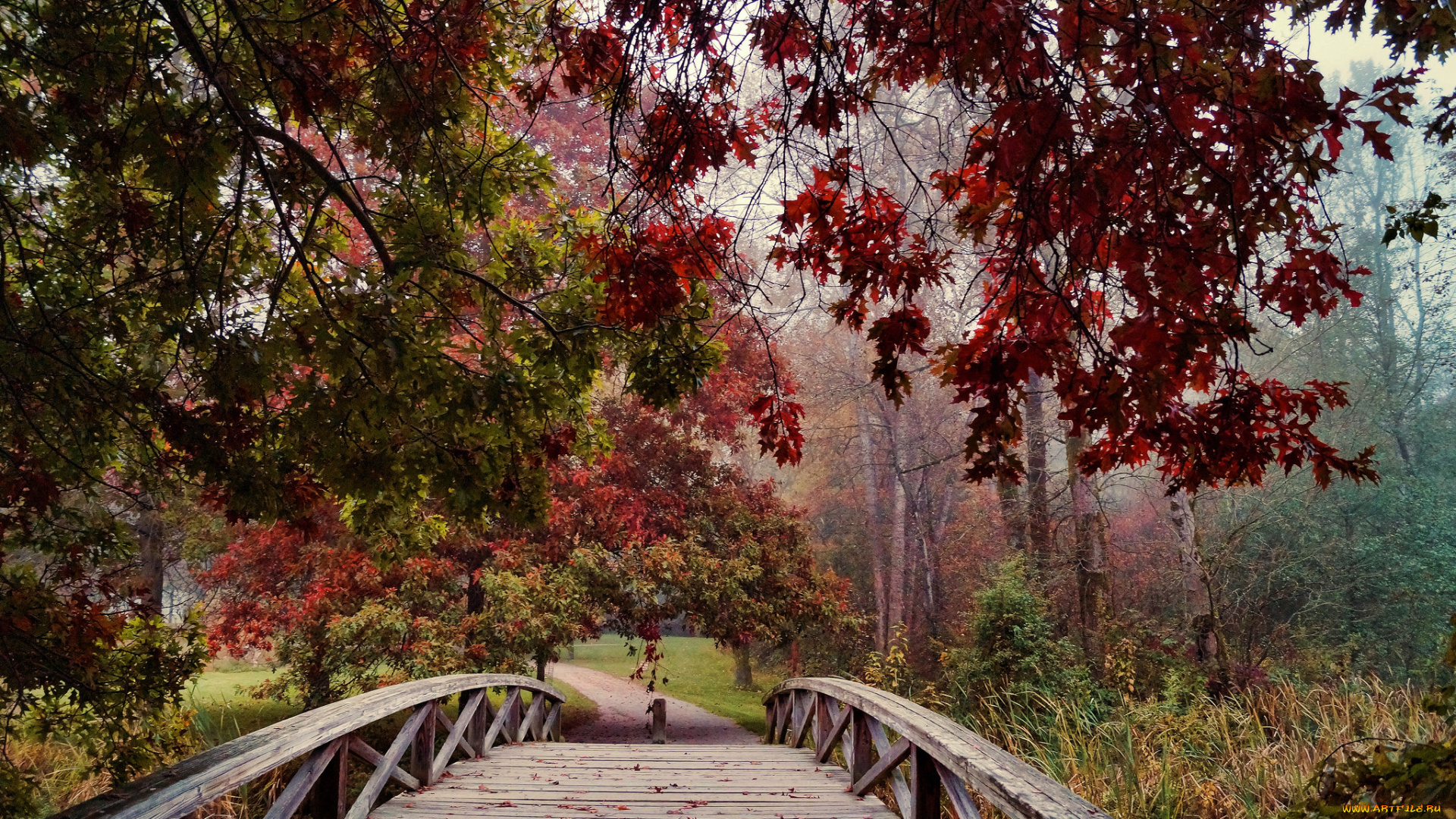 природа, дороги, дорожка, мостик, листва, деревья