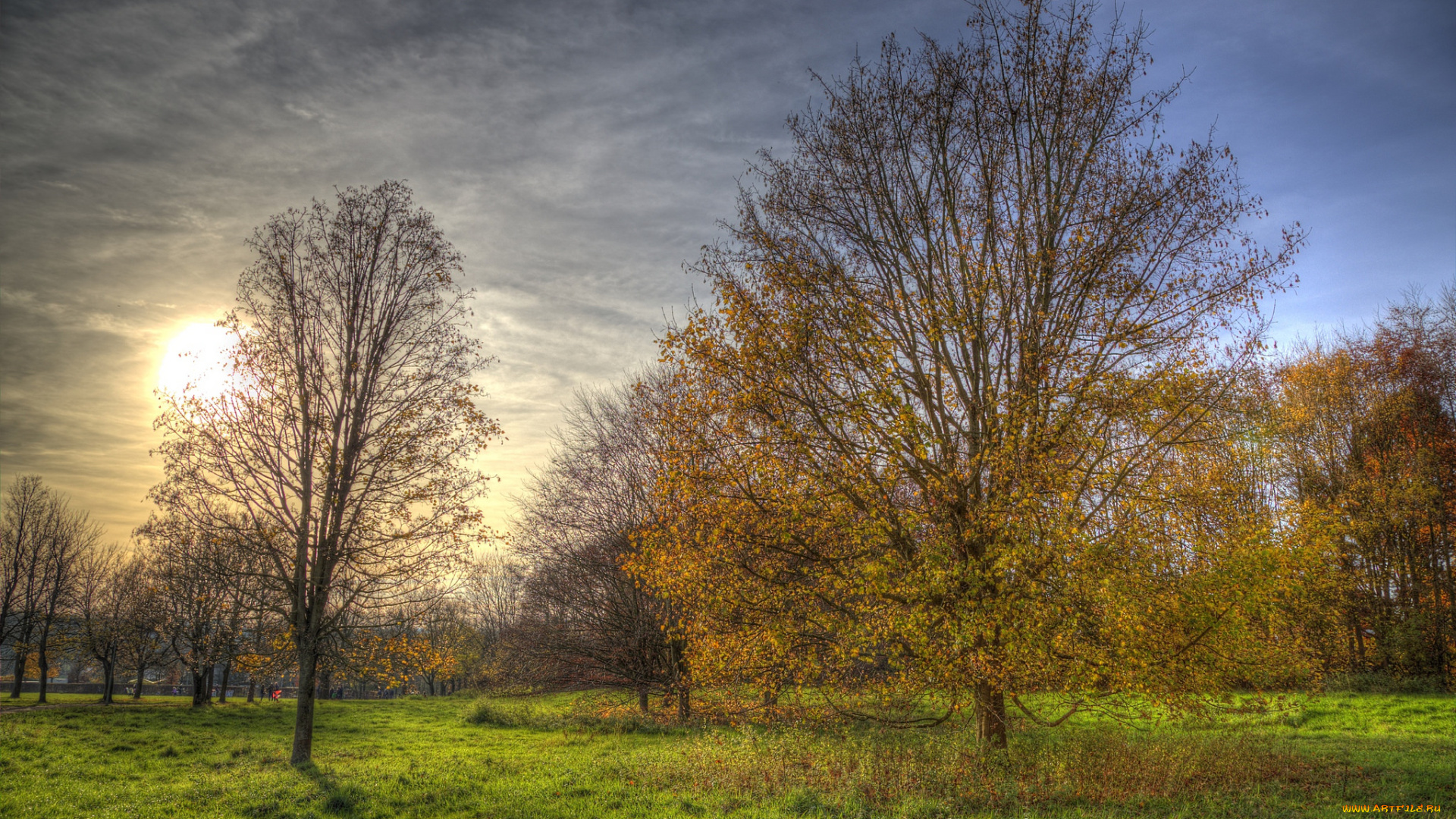 природа, восходы, закаты, осень, лес, поляна