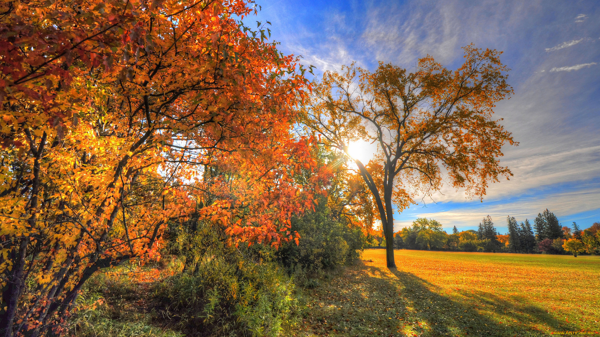 природа, восходы, закаты, осень, поляна, лес