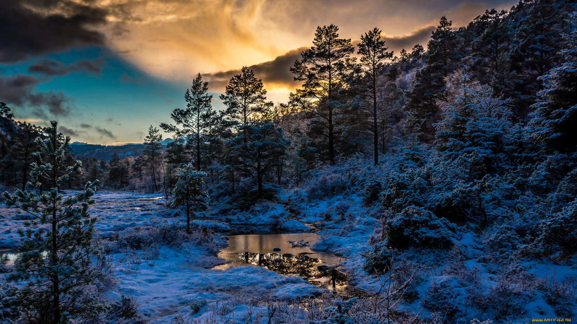 природа, восходы, закаты, снег, рассвет, лес, горы