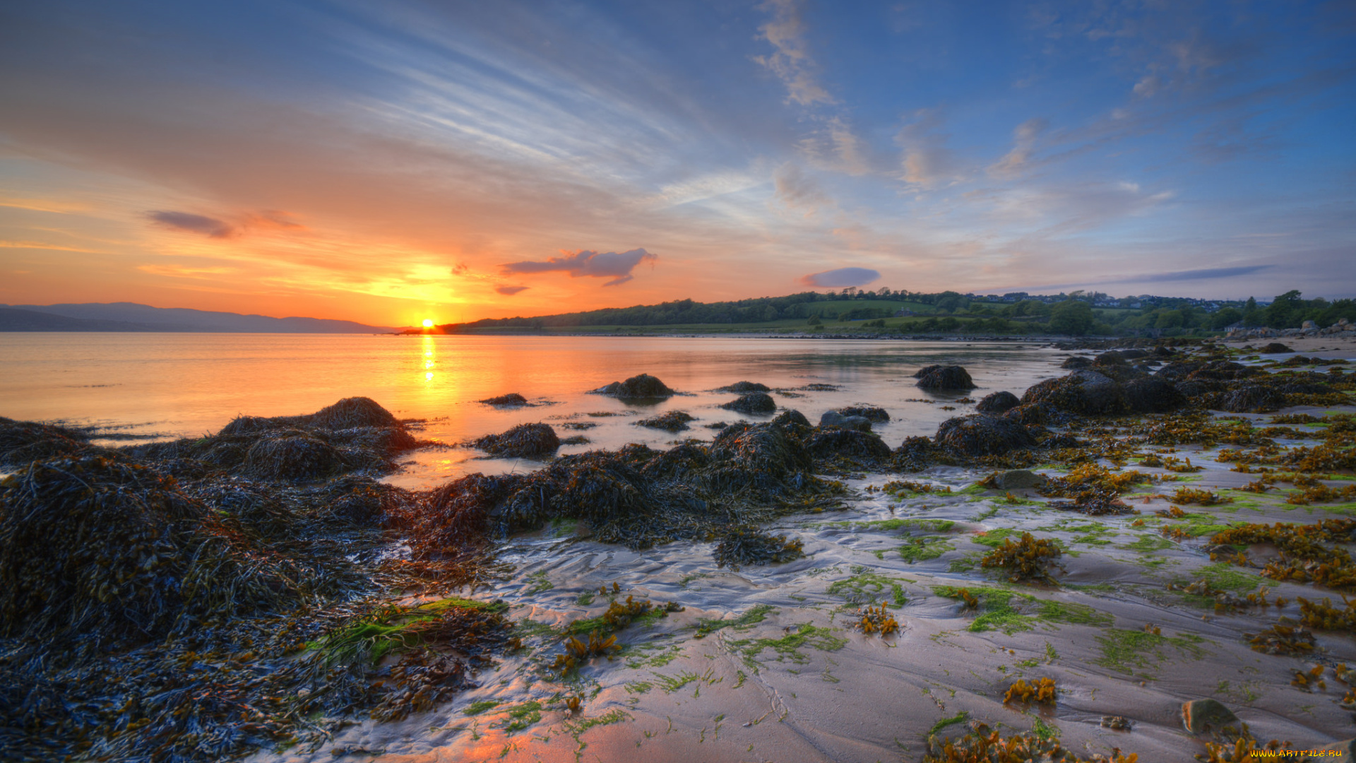 природа, восходы, закаты, солнце, отлив, водоросли, океан