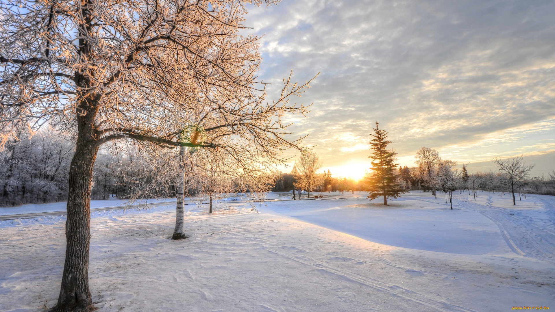 природа, зима, дорога, поле, снег, деревья