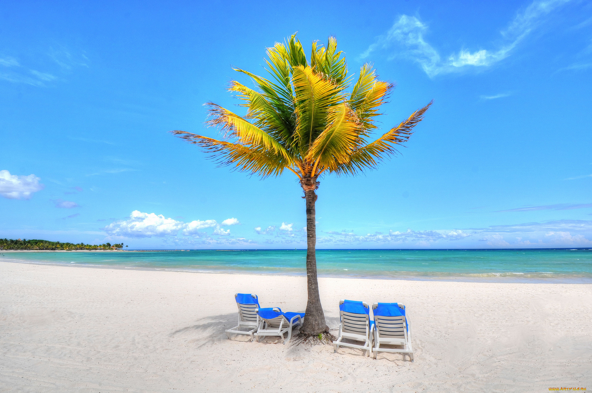 природа, тропики, шезлонги, пальма, пляж, океан