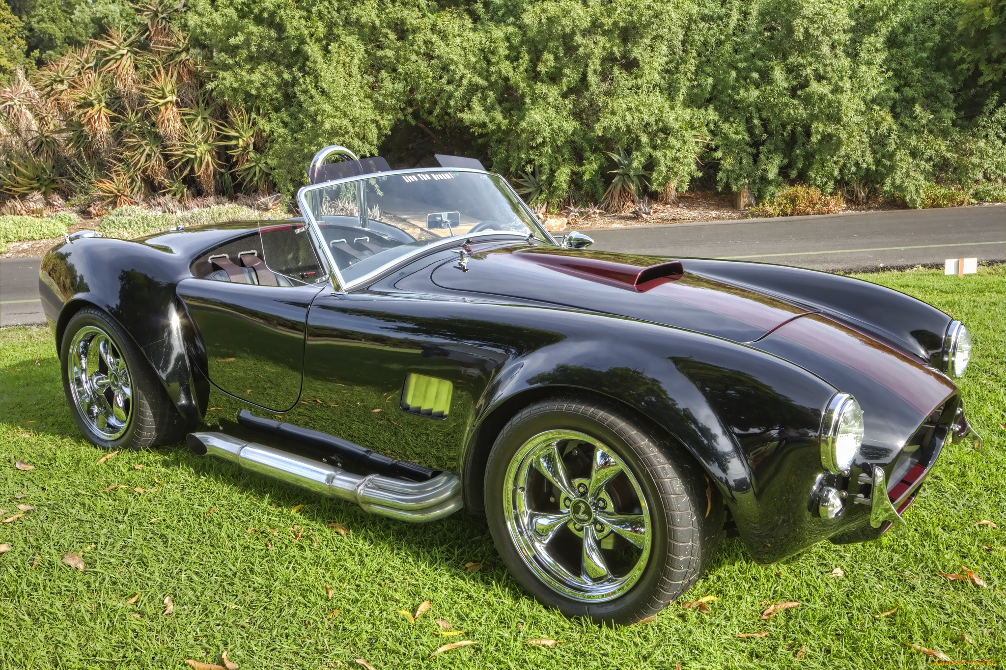 автомобили, выставки, и, уличные, фото, автошоу, выставка