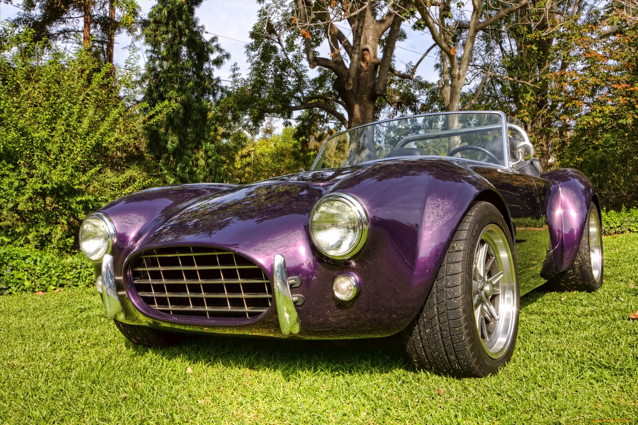 cobra, автомобили, выставки, и, уличные, фото, выставка, автошоу