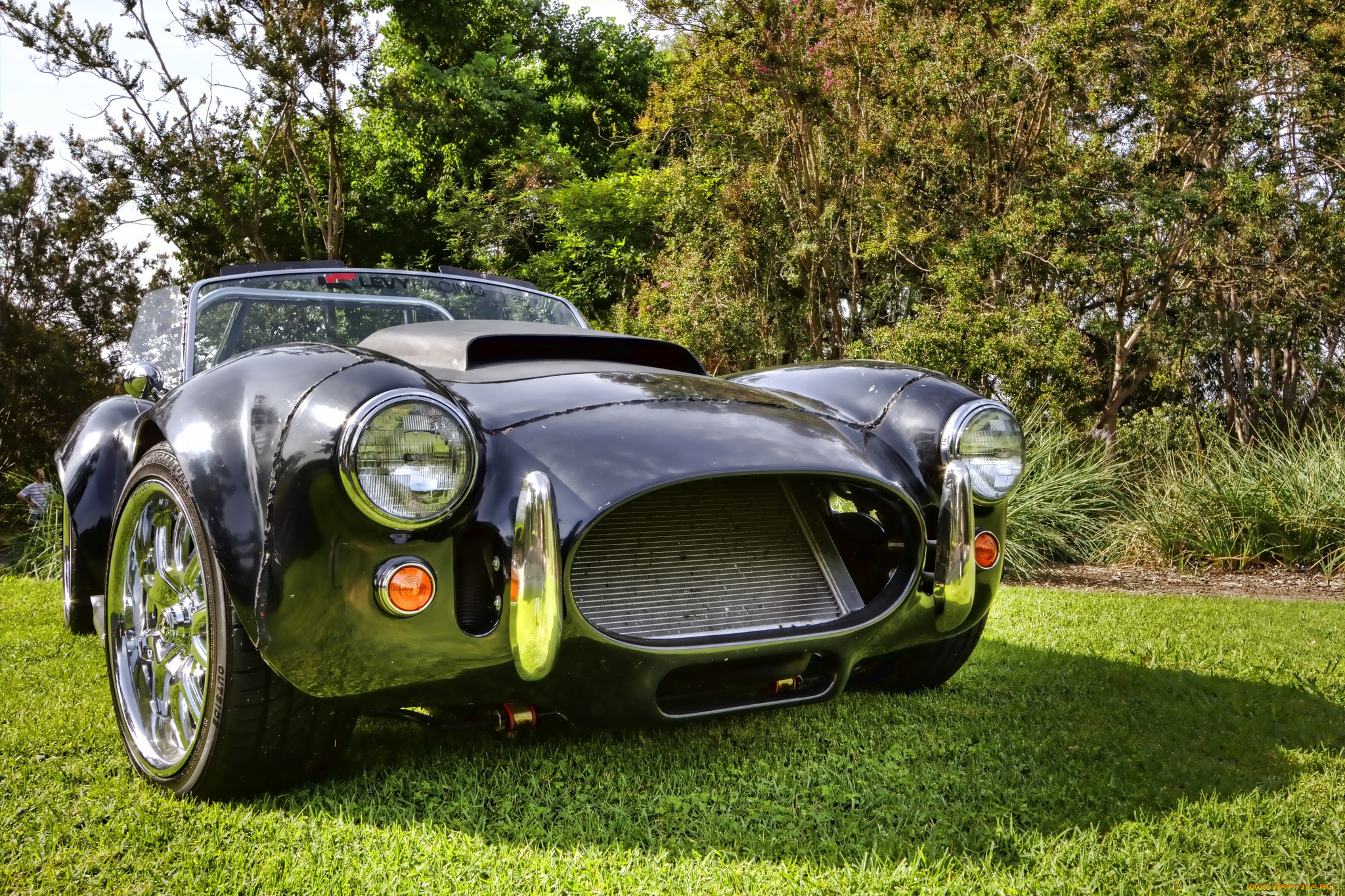 cobra, автомобили, выставки, и, уличные, фото, автошоу, выставка