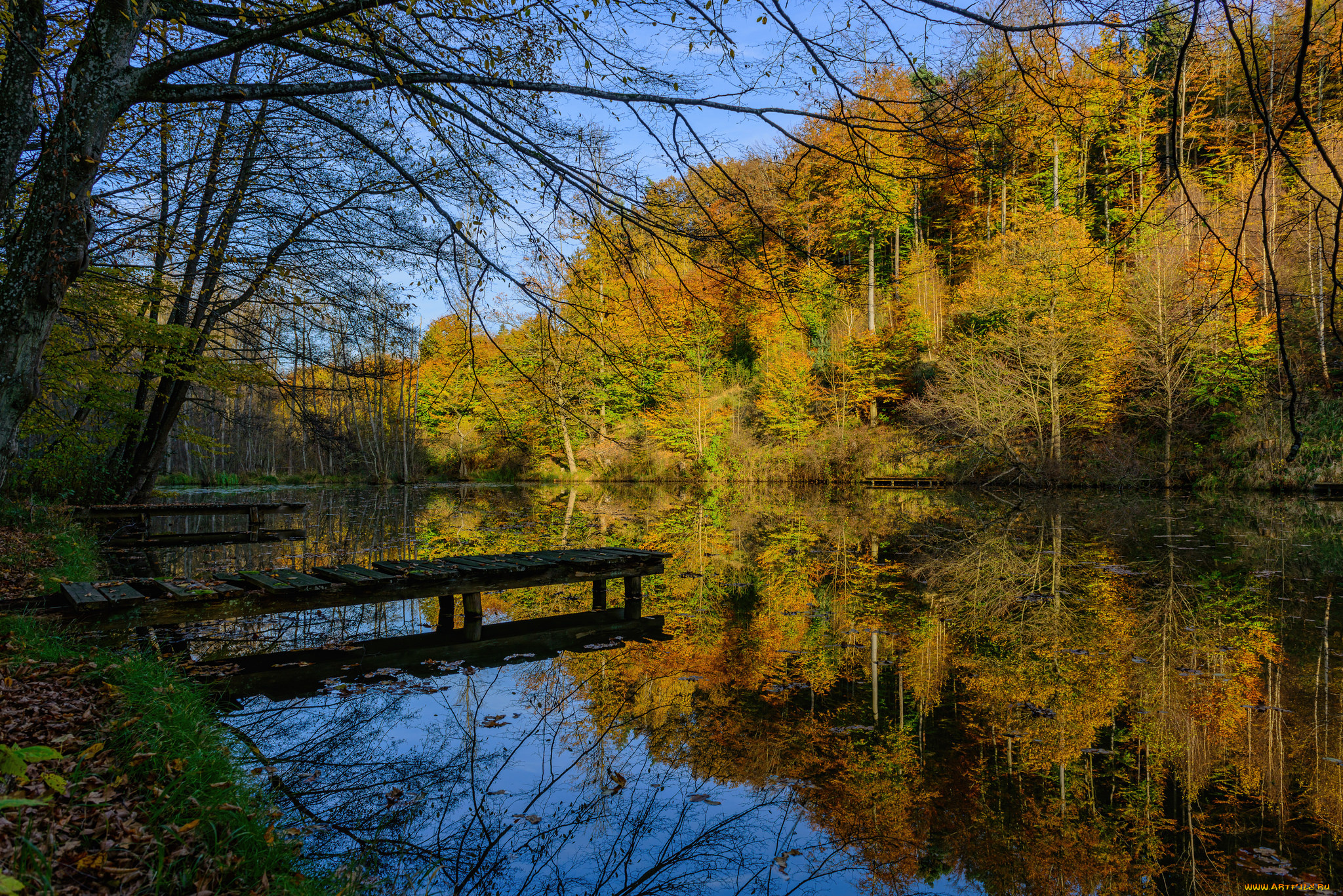 природа, реки, озера, мостки, река, лес