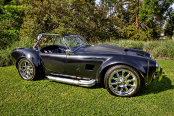 Картинка cobra автомобили выставки+и+уличные+фото автошоу выставка