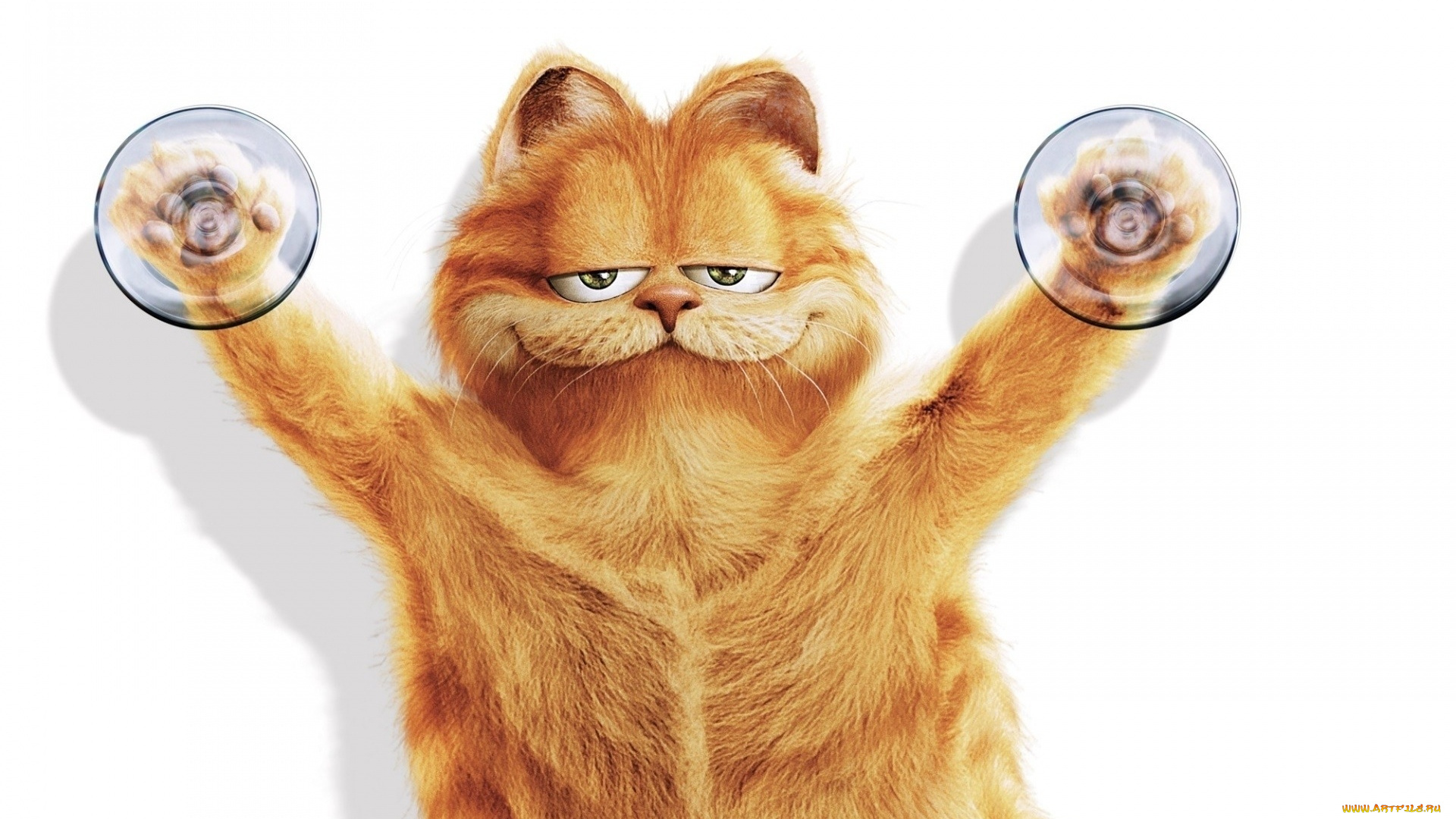 мультфильмы, garfield, рыжий, кот, гарфилд, присоски