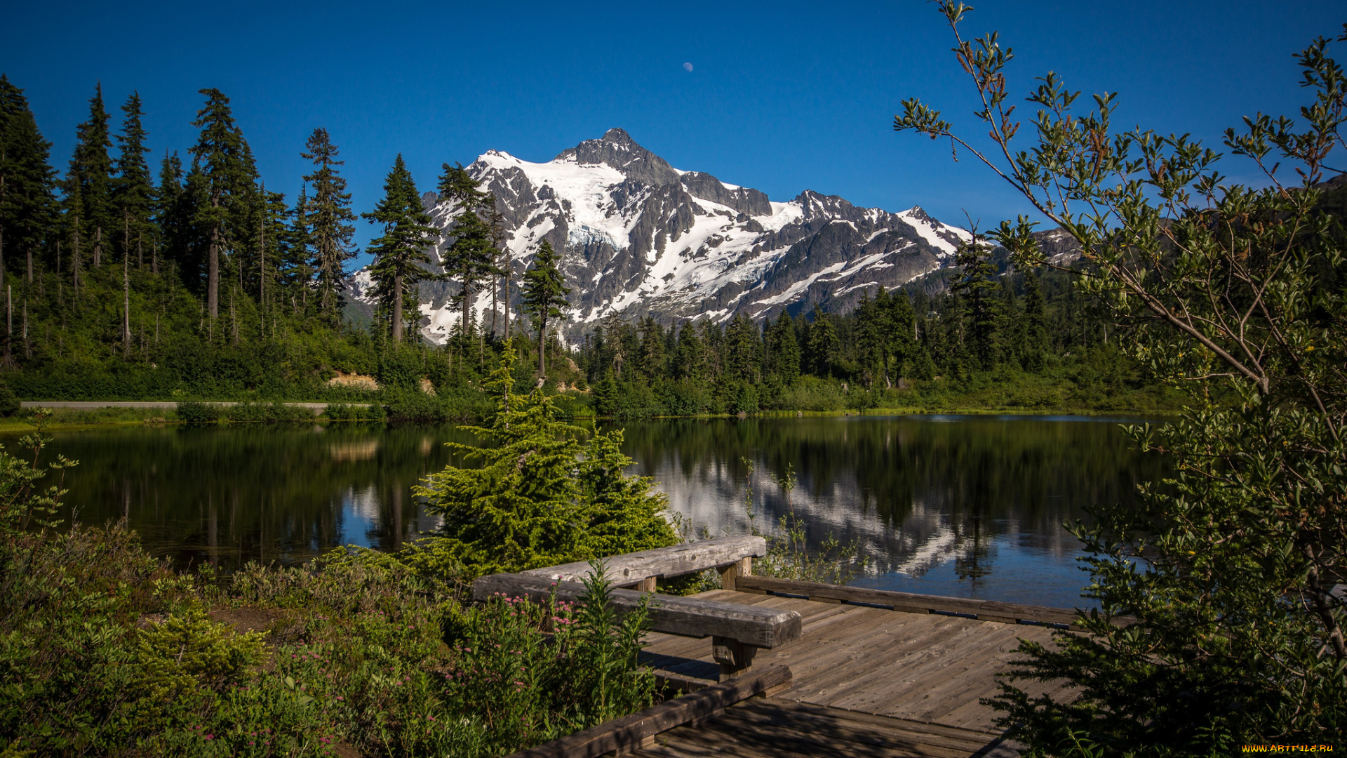 природа, реки, озера, горы, лес, река