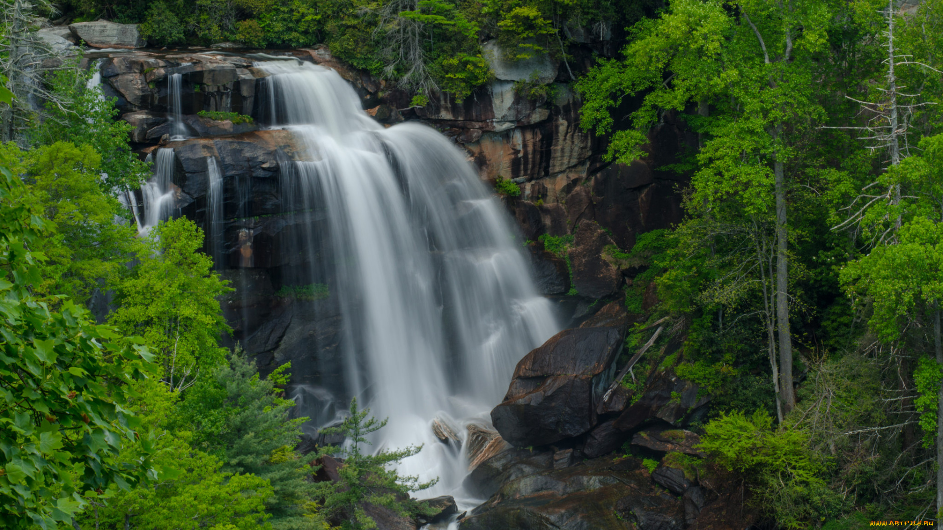 природа, водопады, лес, река, водопад