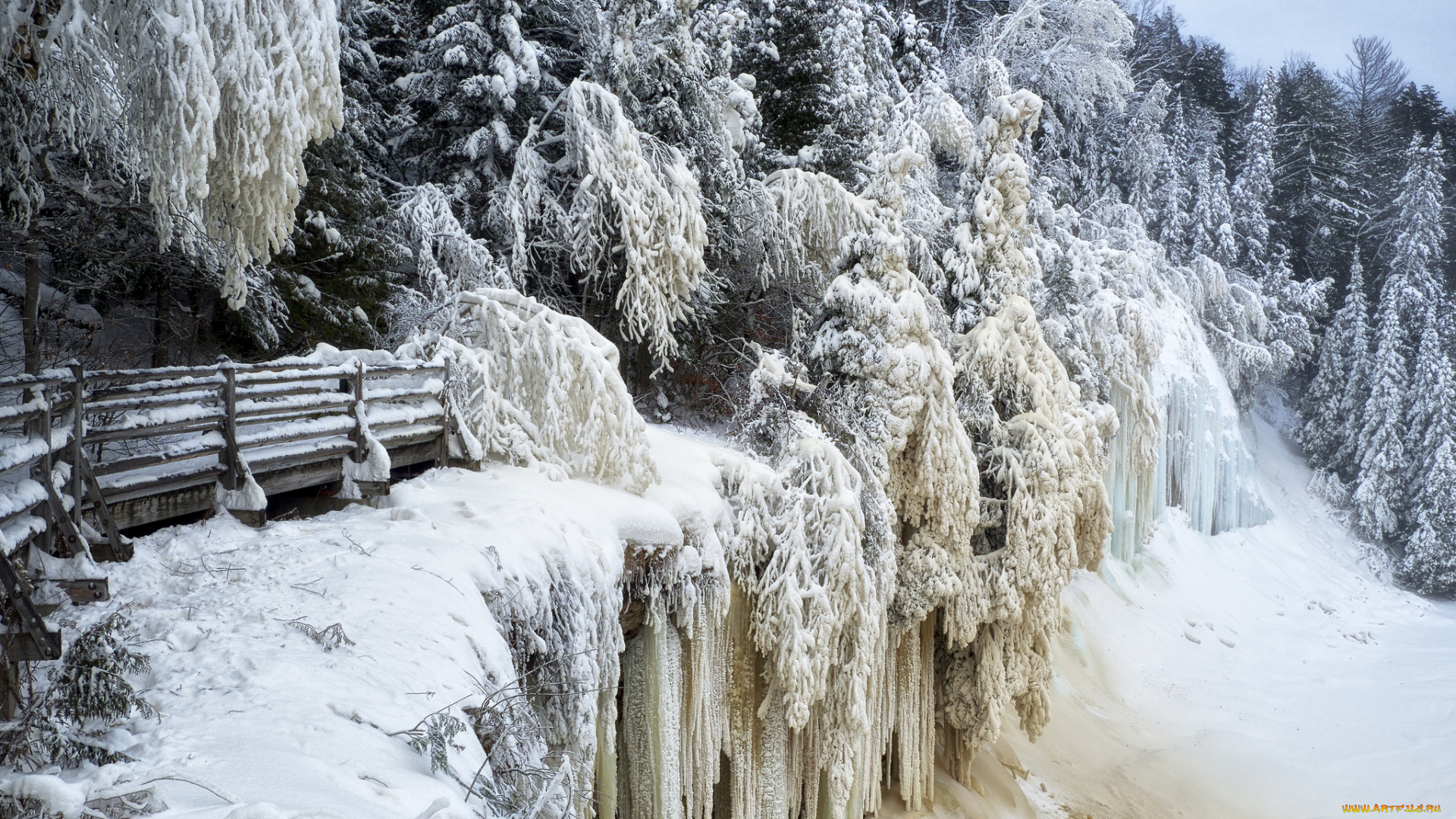 природа, зима, лес, снег