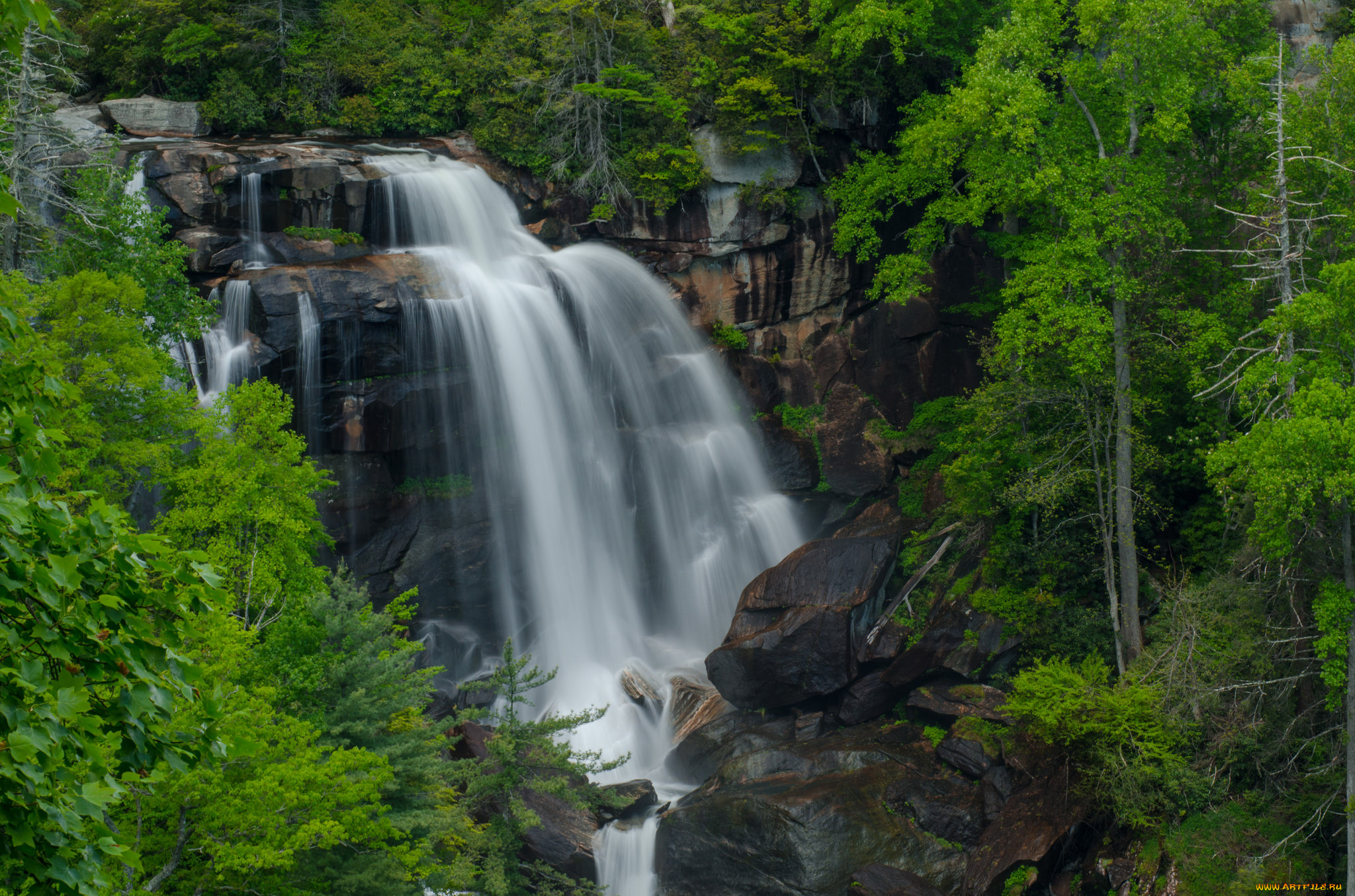 природа, водопады, лес, река, водопад