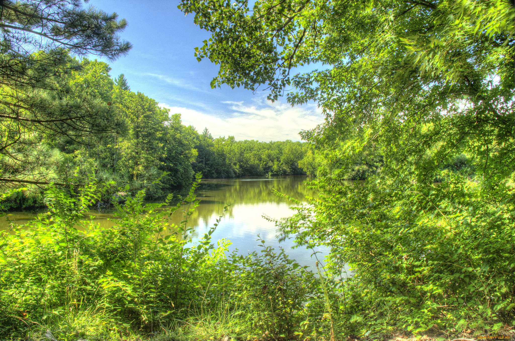 природа, реки, озера, лес, река