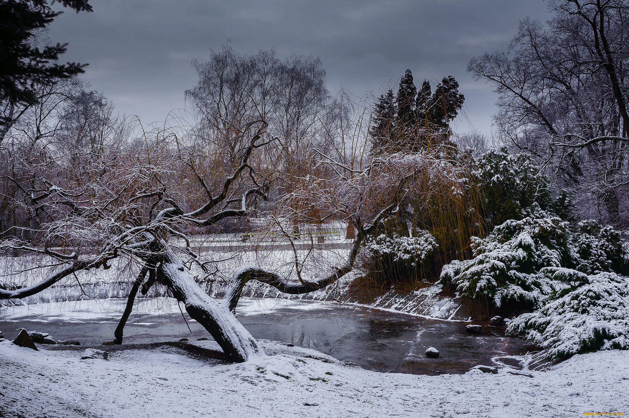 природа, зима, парк, снег