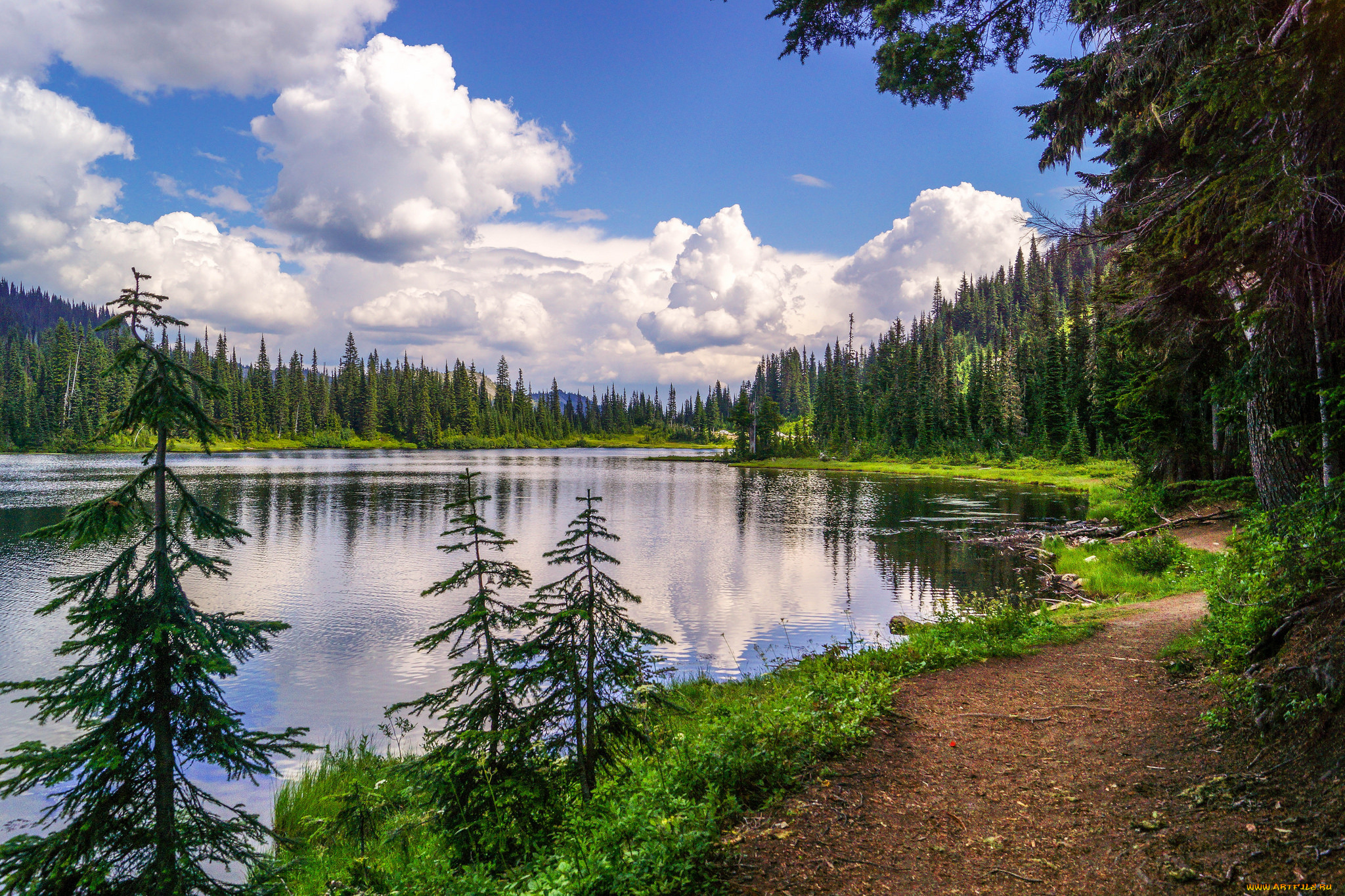 природа, реки, озера, горы, лес, река