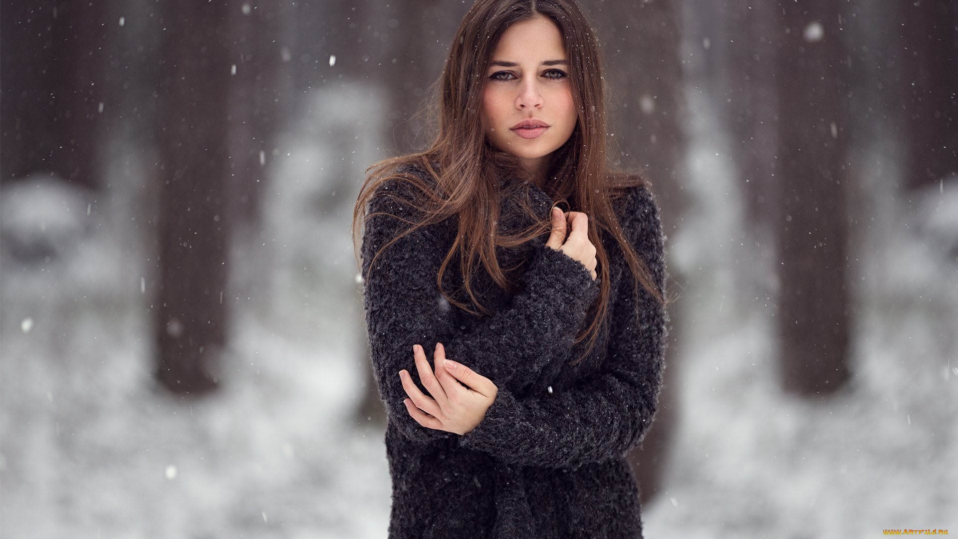 девушки, -unsort, , брюнетки, , шатенки, лицо, взгляд