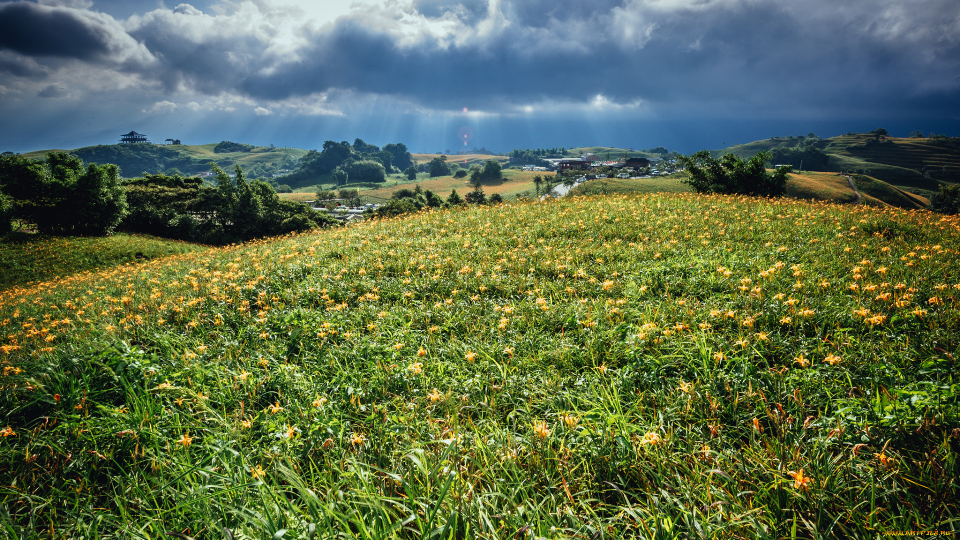 города, -, пейзажи, простор
