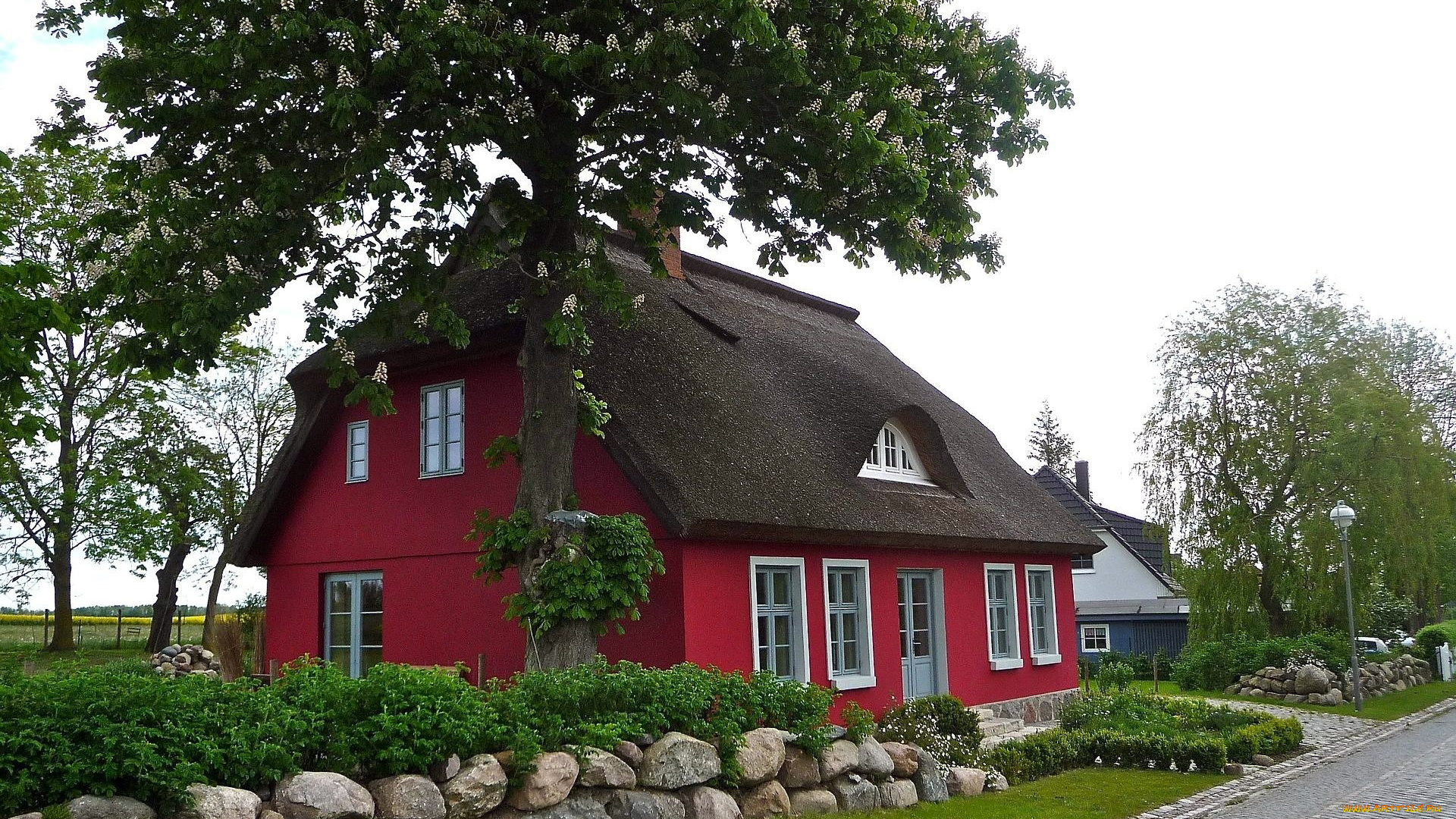 города, -, здания, , дома, весна, дерево, цветы, камни, дом