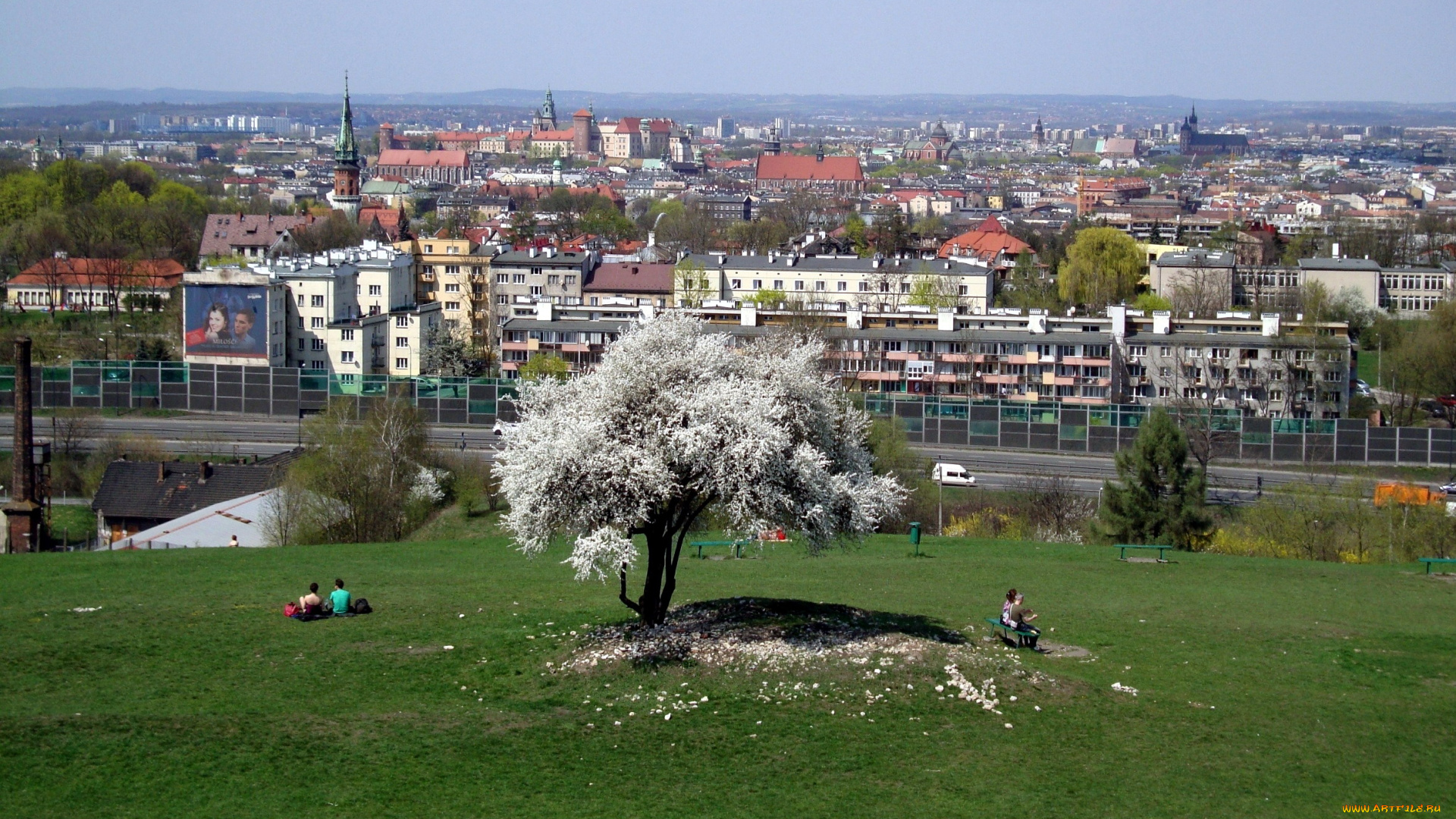 города, краков, , польша, панорама, весна, дерево, цветущее, лужайка