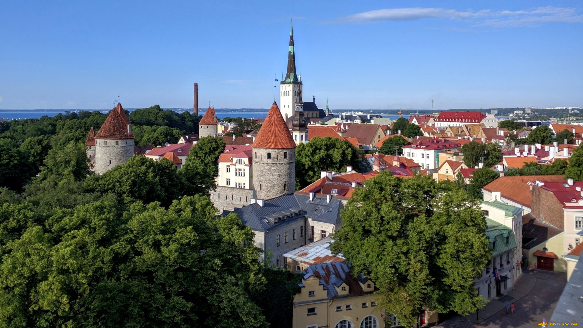 города, таллин, , эстония, панорама, башни, деревья