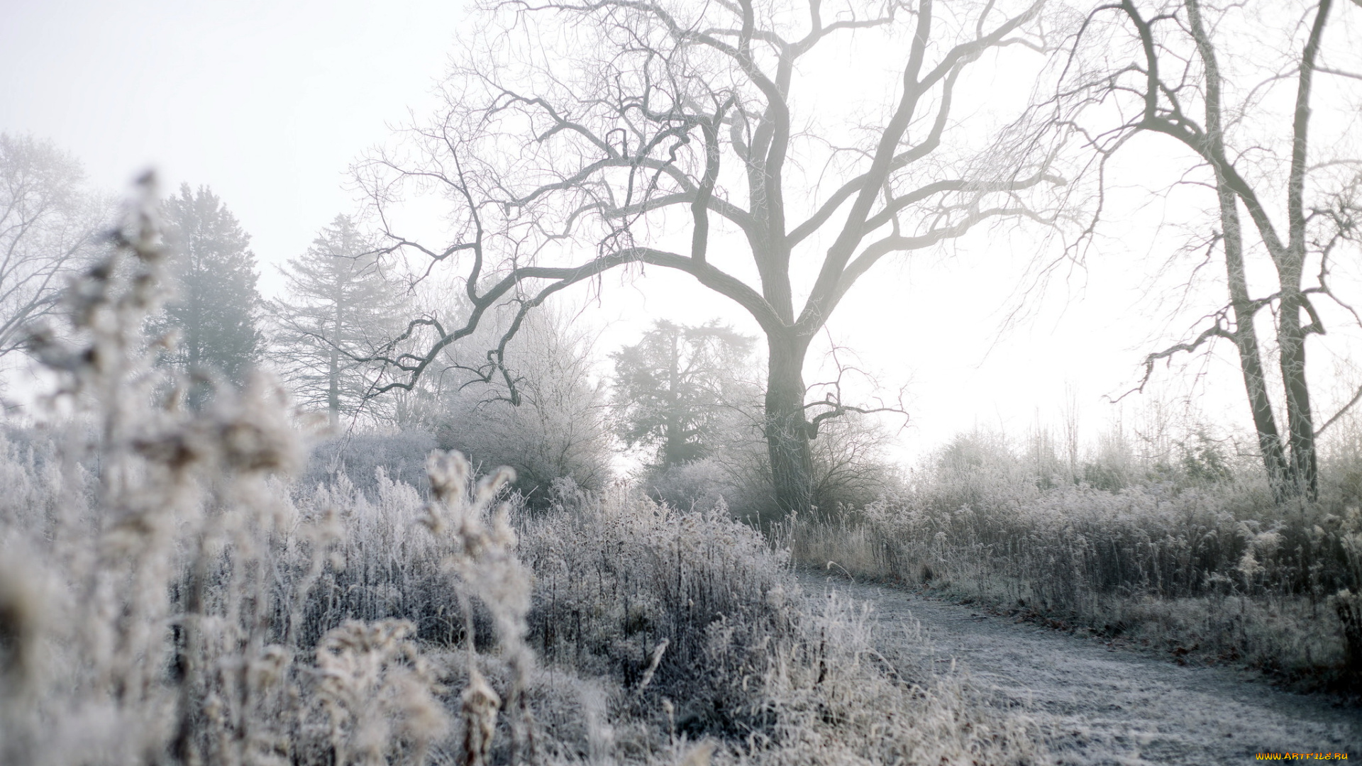 природа, дороги, осень, дорога, иней