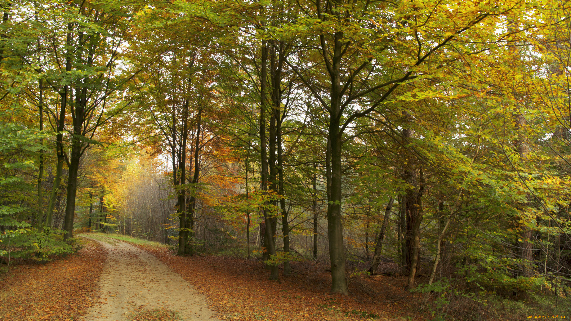 природа, дороги, тракт