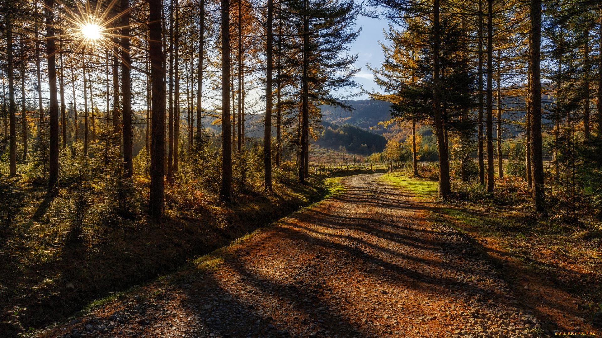 природа, дороги, тракт