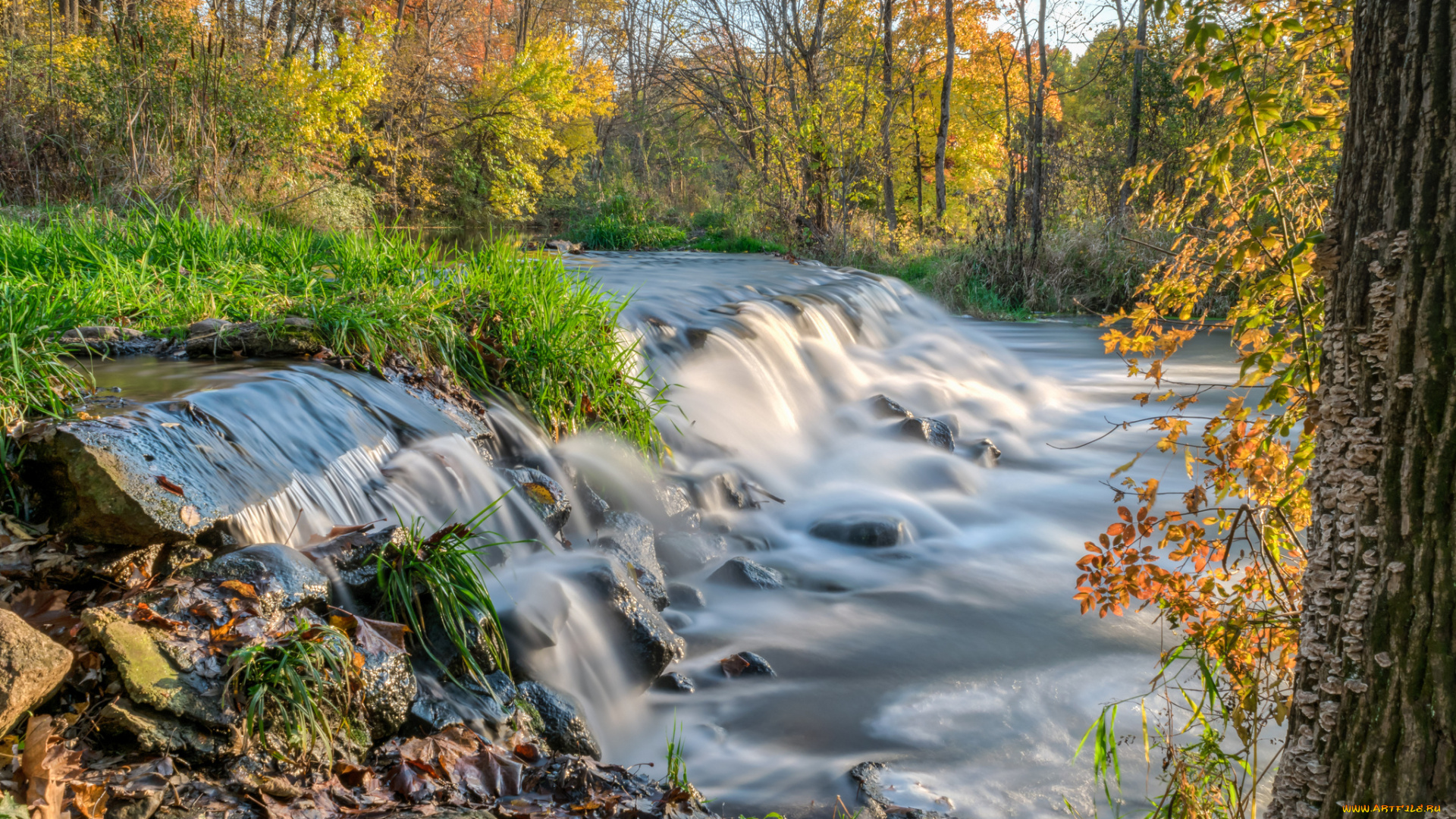 природа, водопады, лес, водопад, река