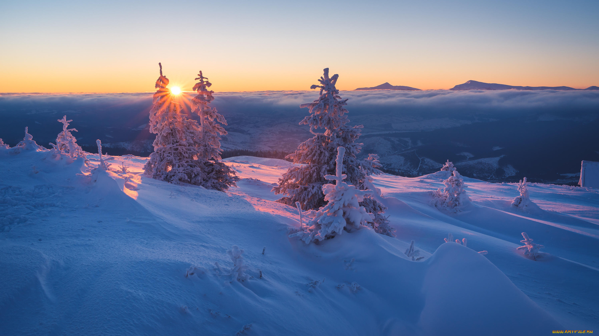 природа, зима, снег, деревья