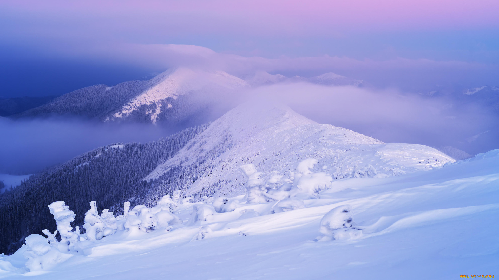 природа, зима, снег, деревья