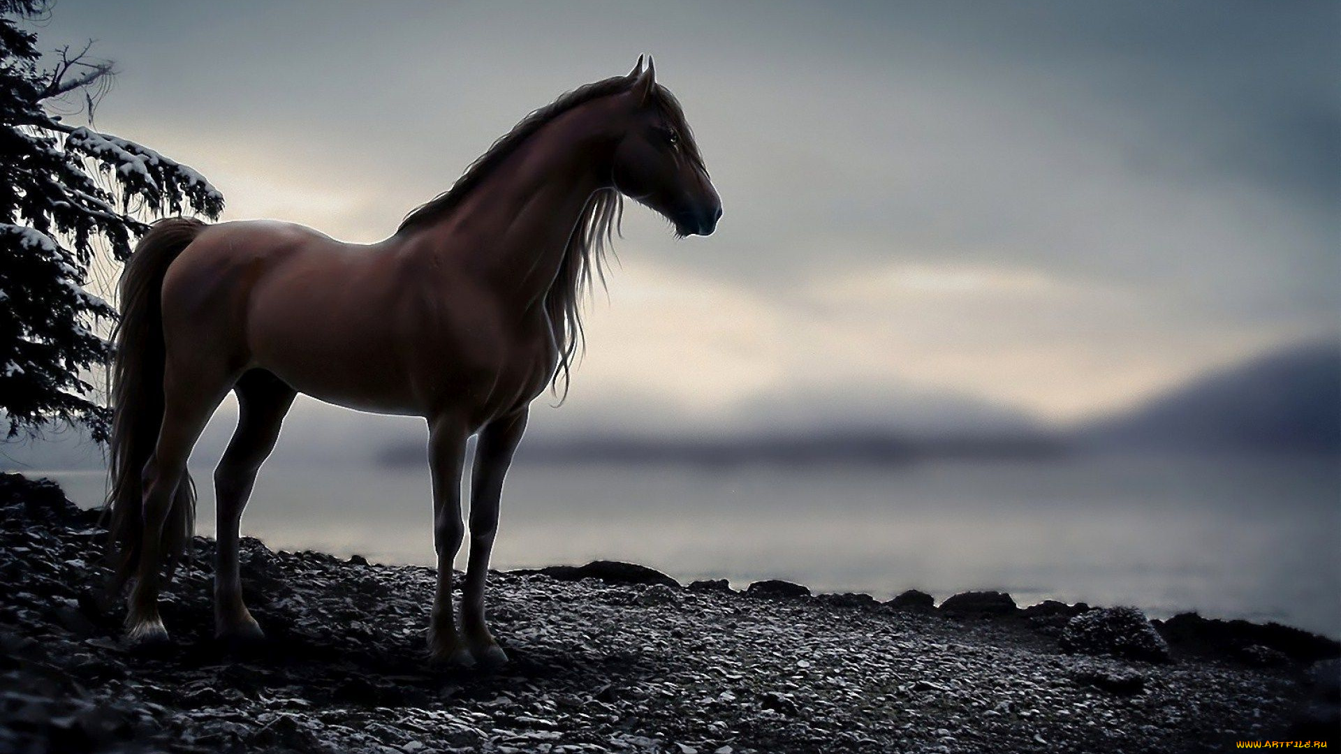 рисованное, животные, , лошади, камни, обрыв, конь, лошадь