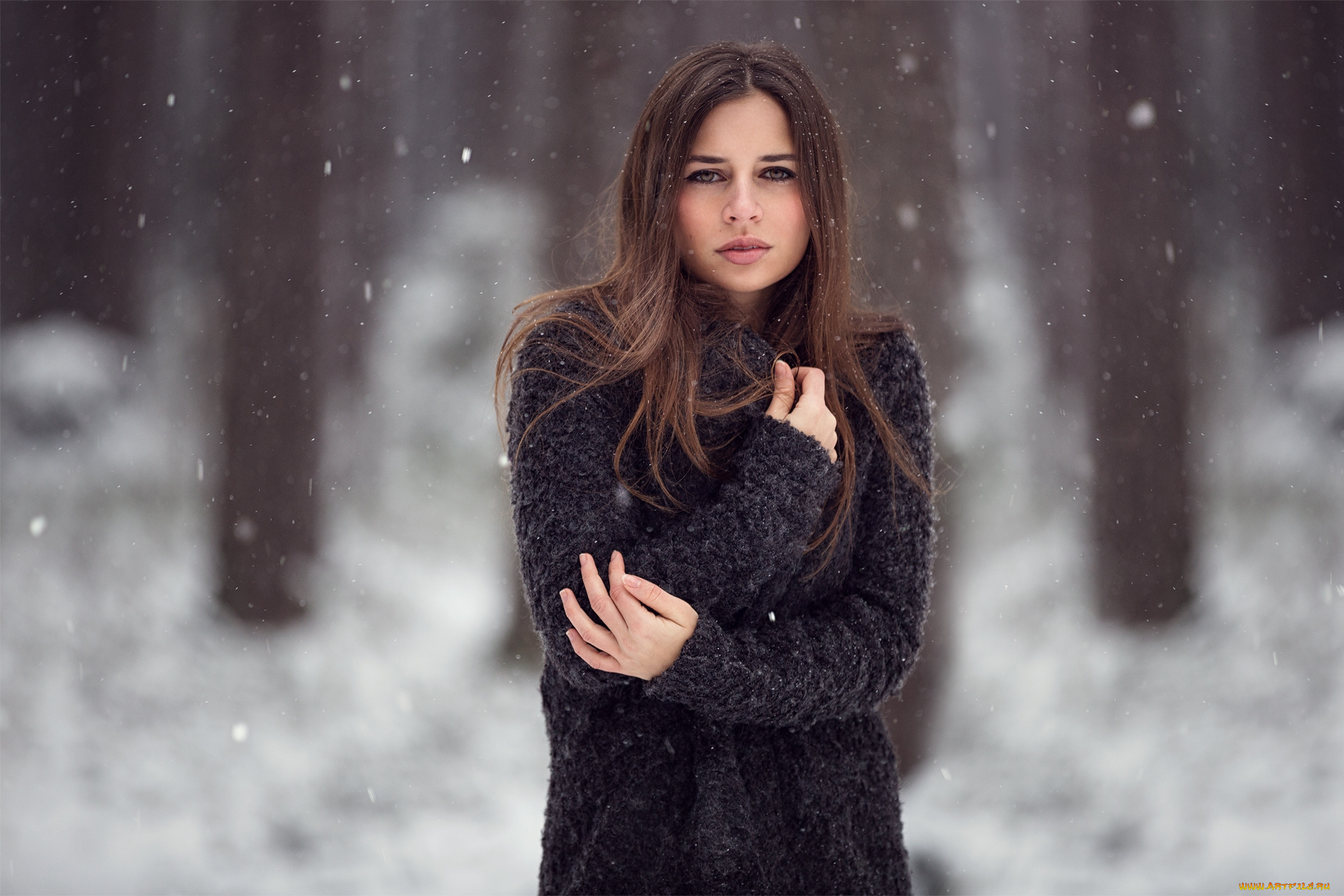 девушки, -unsort, , брюнетки, , шатенки, лицо, взгляд