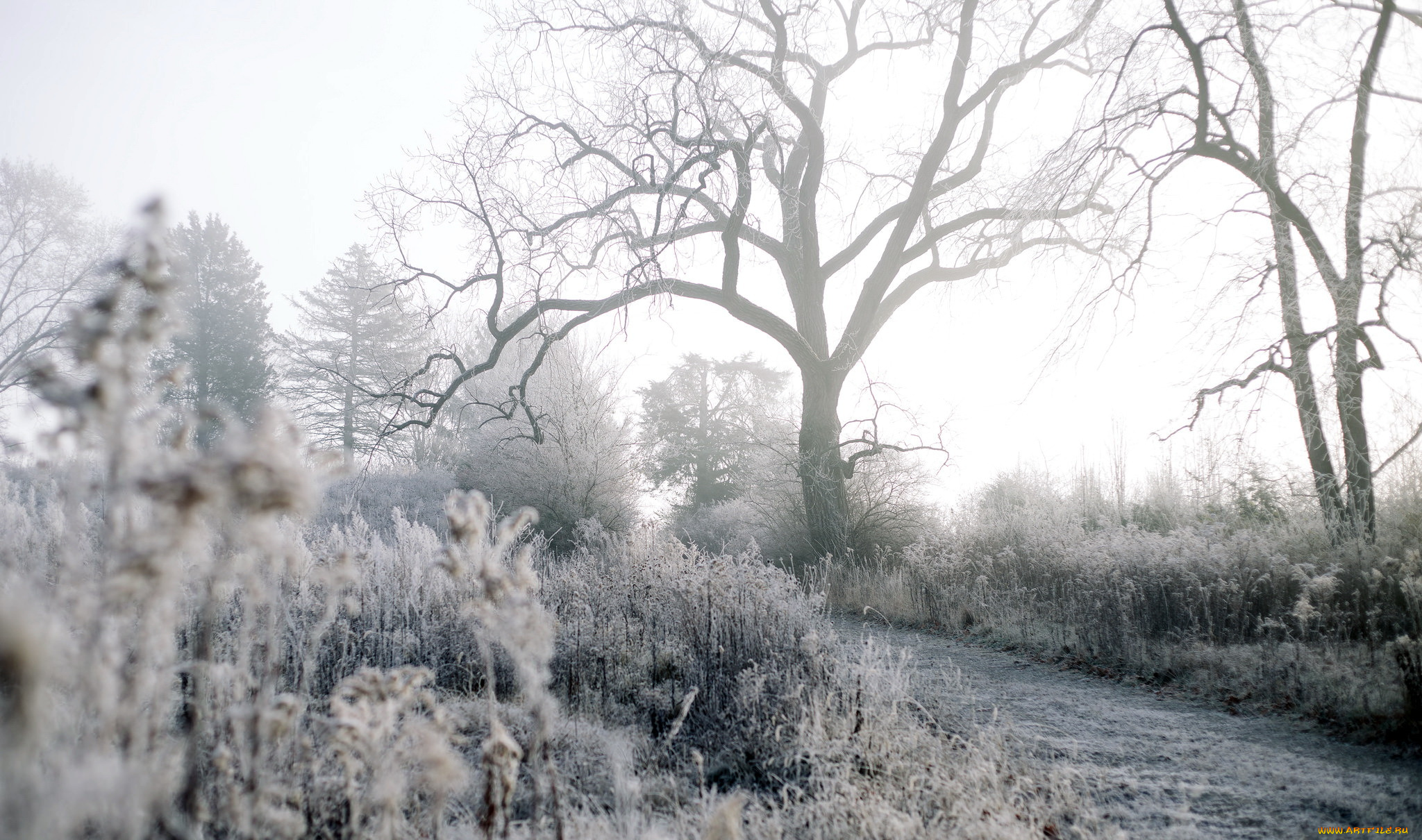 природа, дороги, осень, дорога, иней