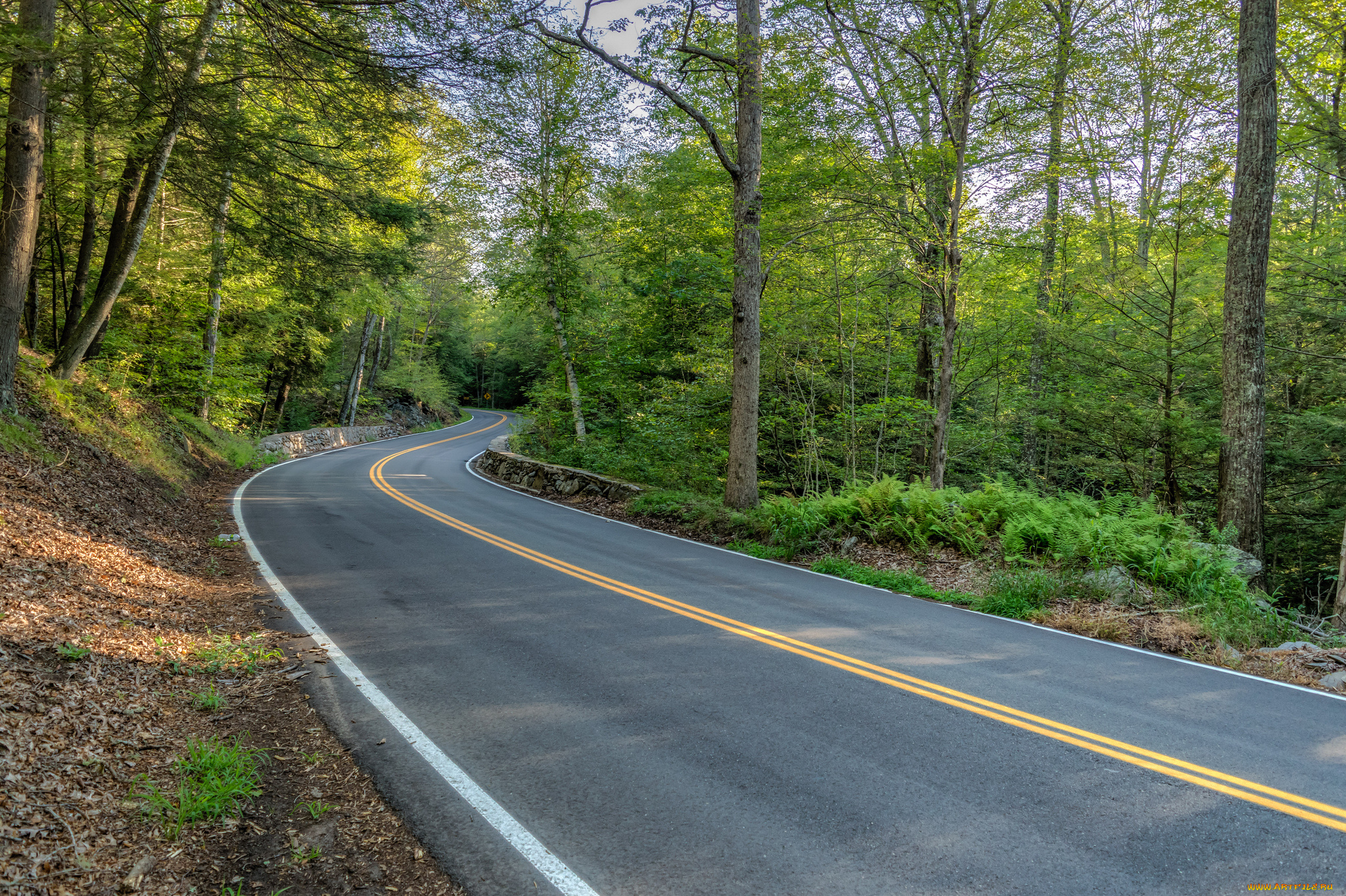природа, дороги, тракт