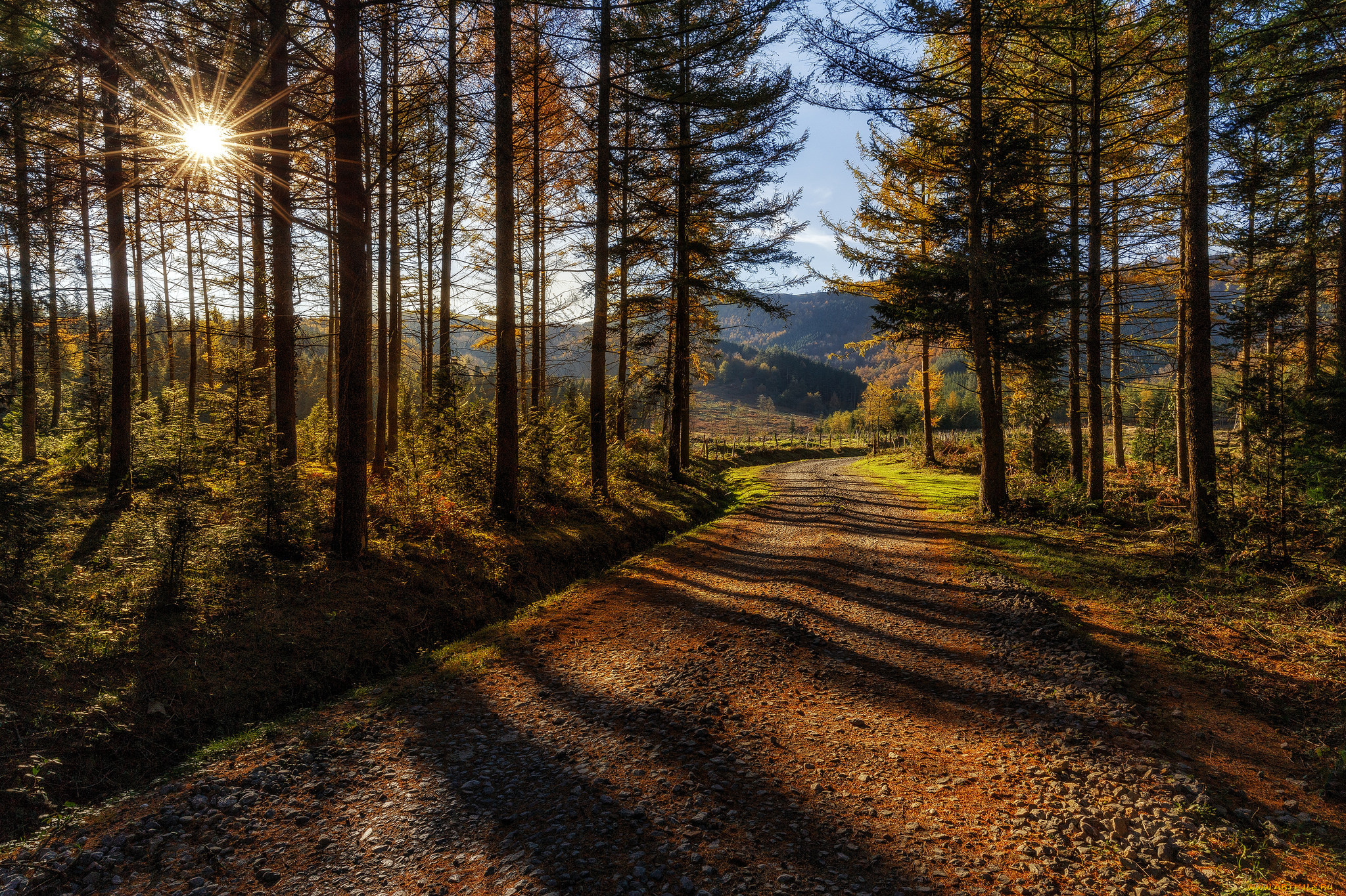 природа, дороги, тракт