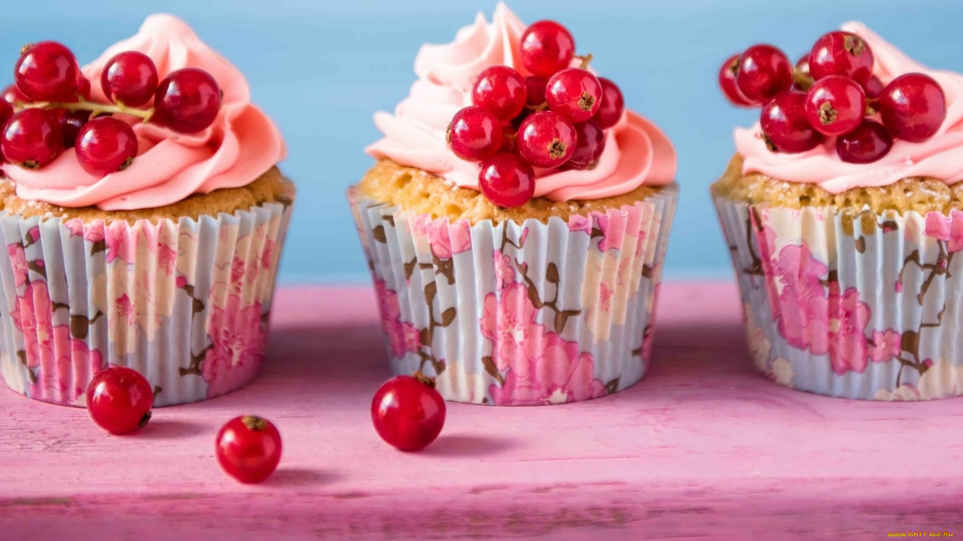 еда, пирожные, , кексы, , печенье, смородина, капкейки