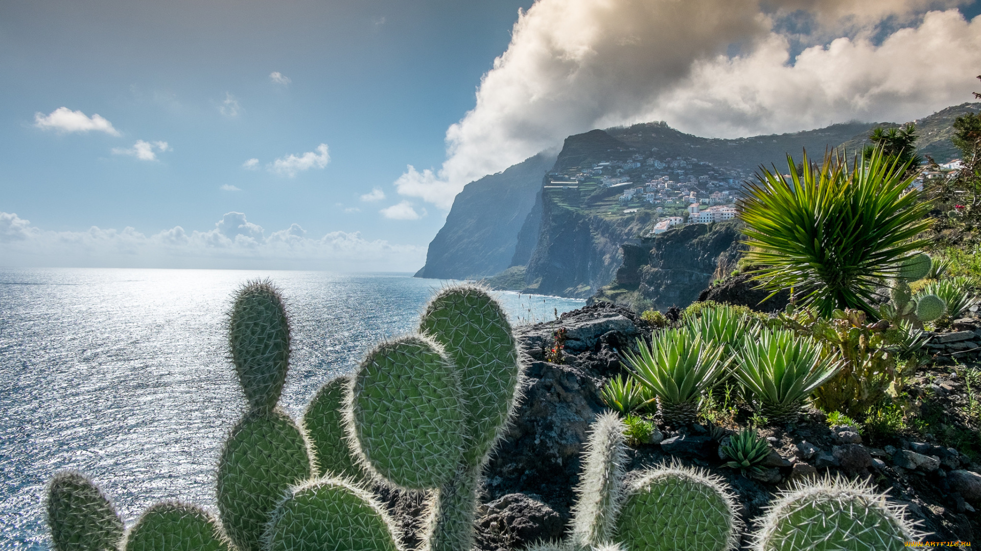 города, -, пейзажи, простор