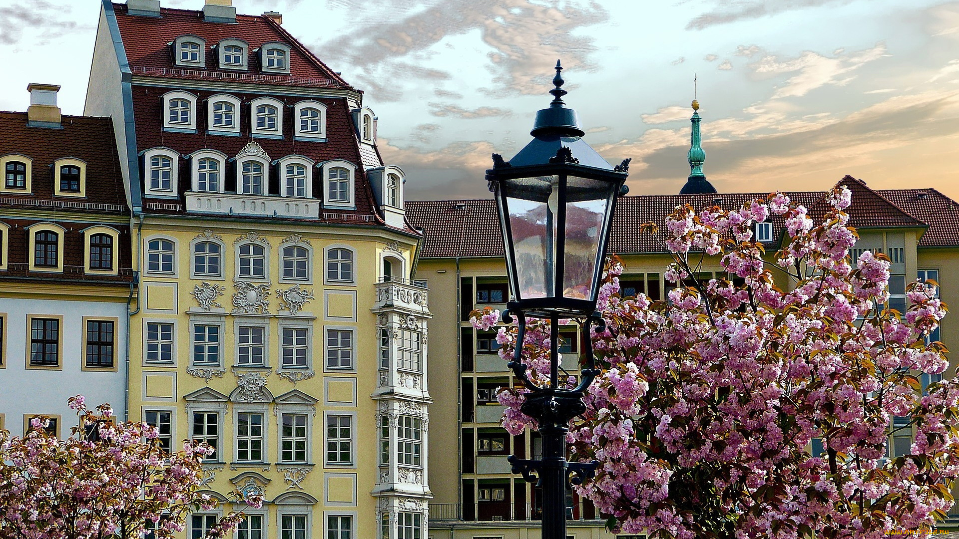 города, дрезден, , германия, дерево, весна, цветущее, дома, фонарь