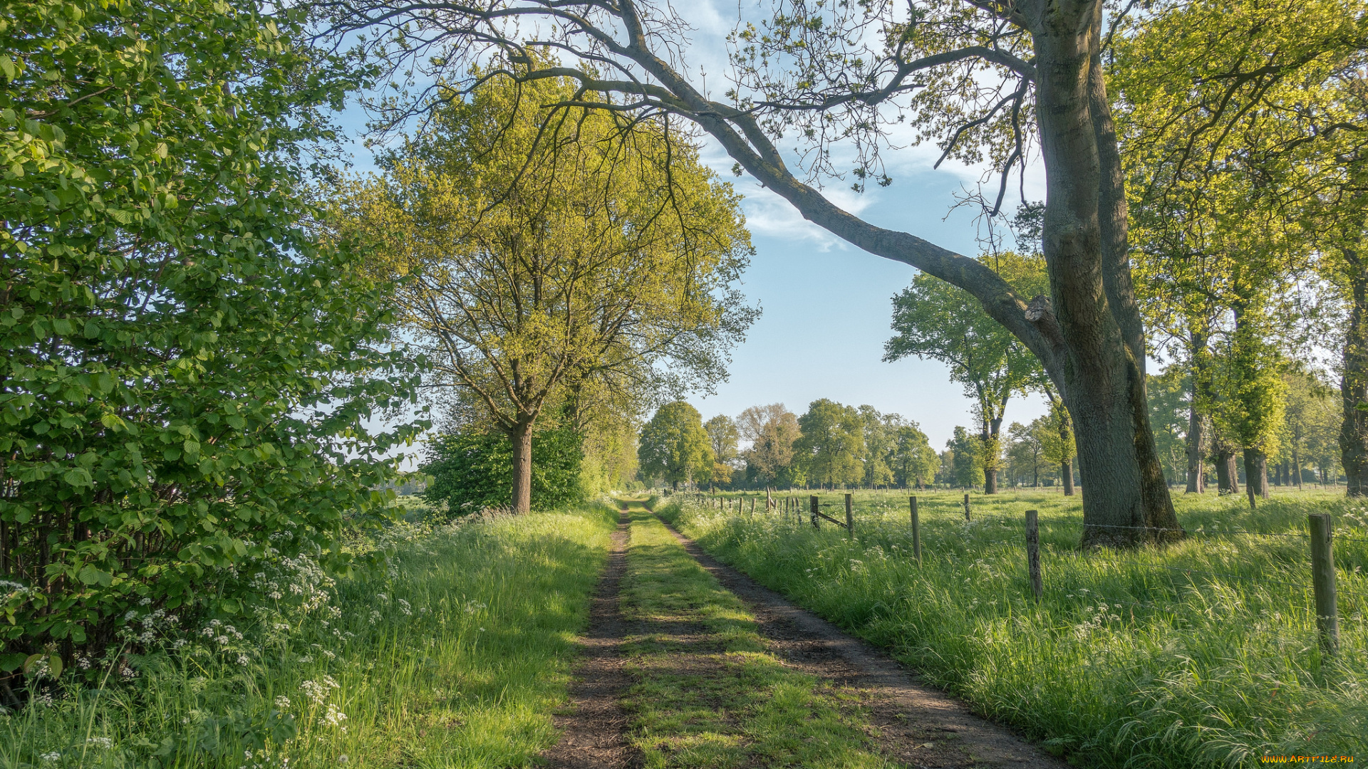 природа, дороги, простор