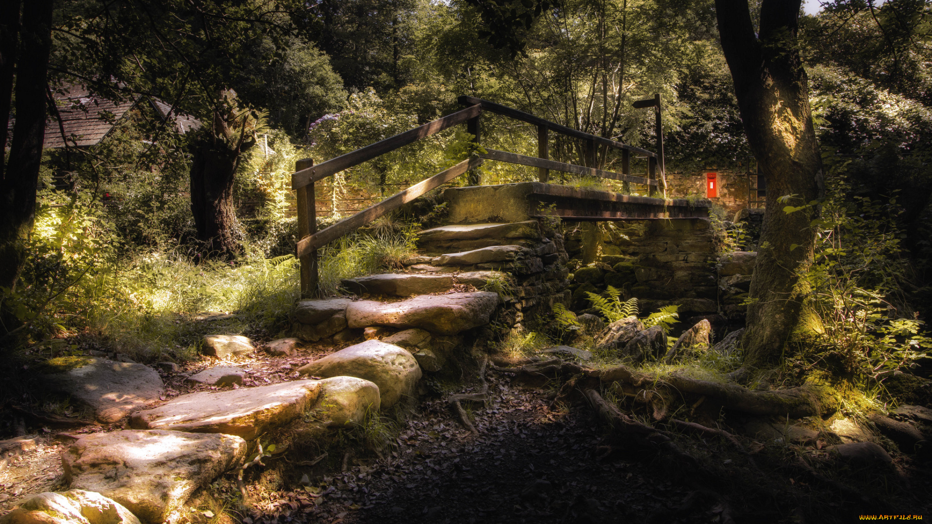 природа, дороги, простор