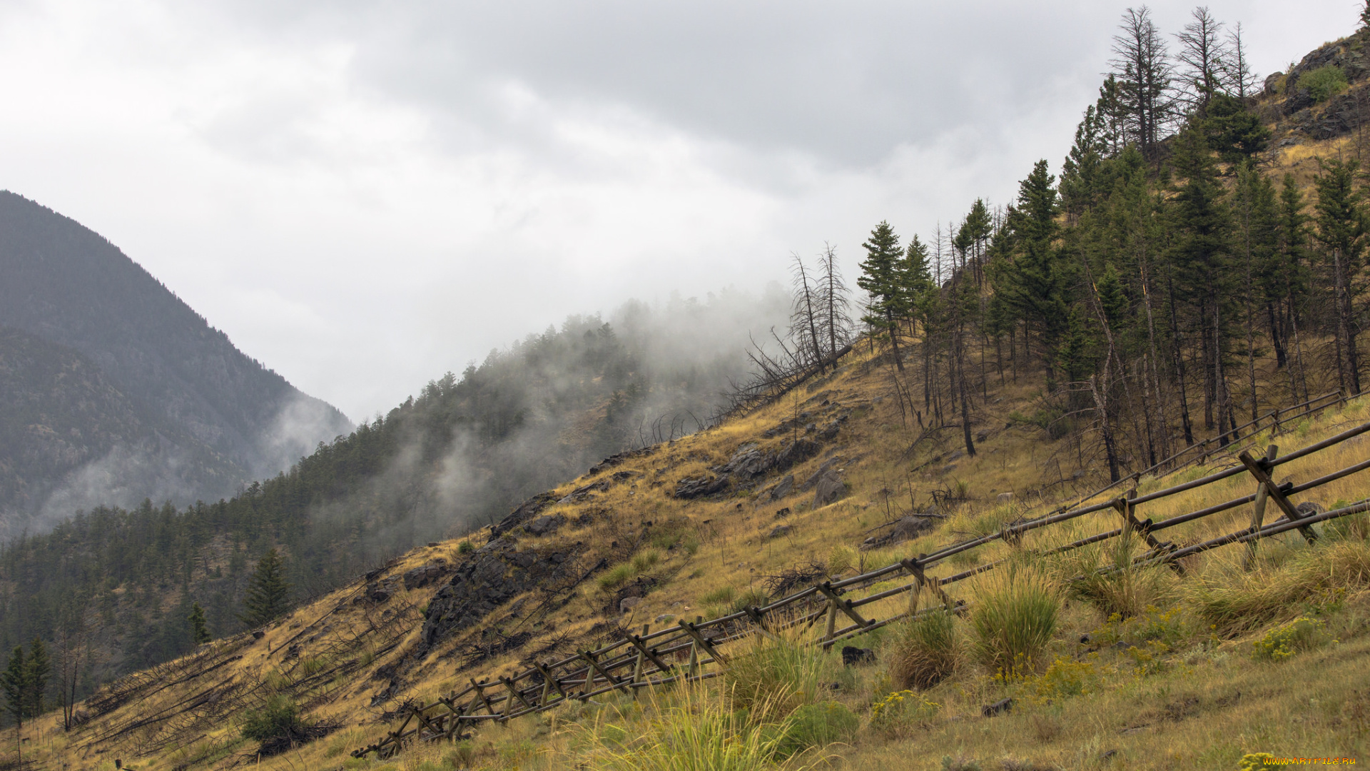 природа, горы, простор