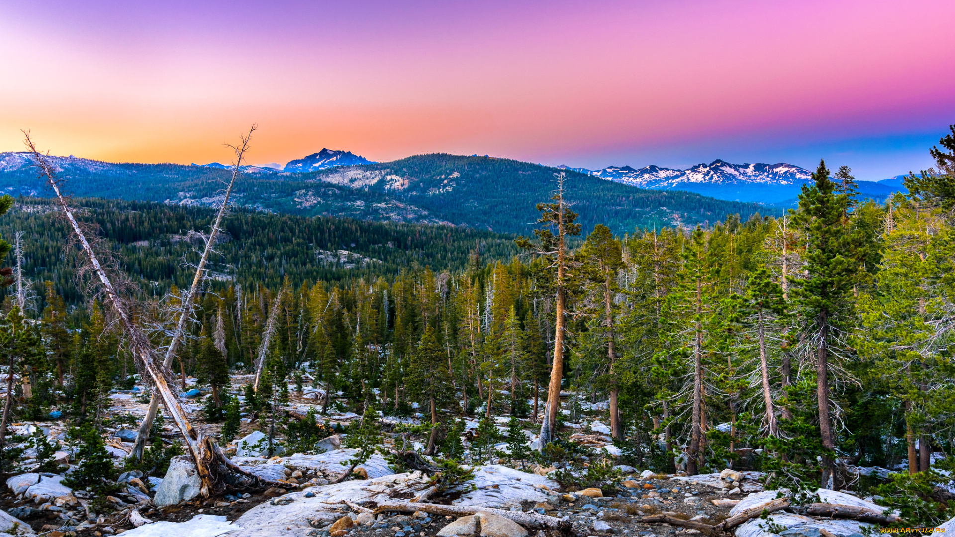 природа, пейзажи, простор