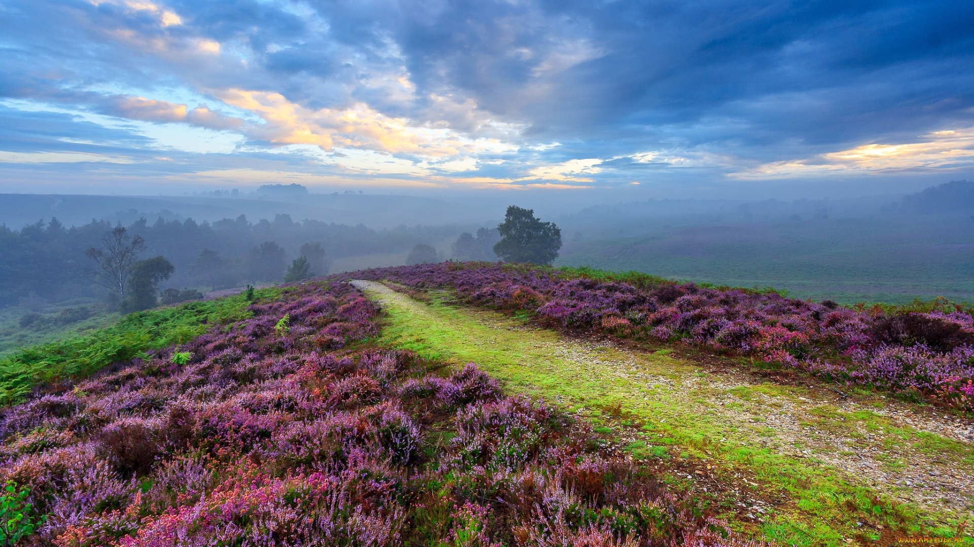 природа, пейзажи, простор