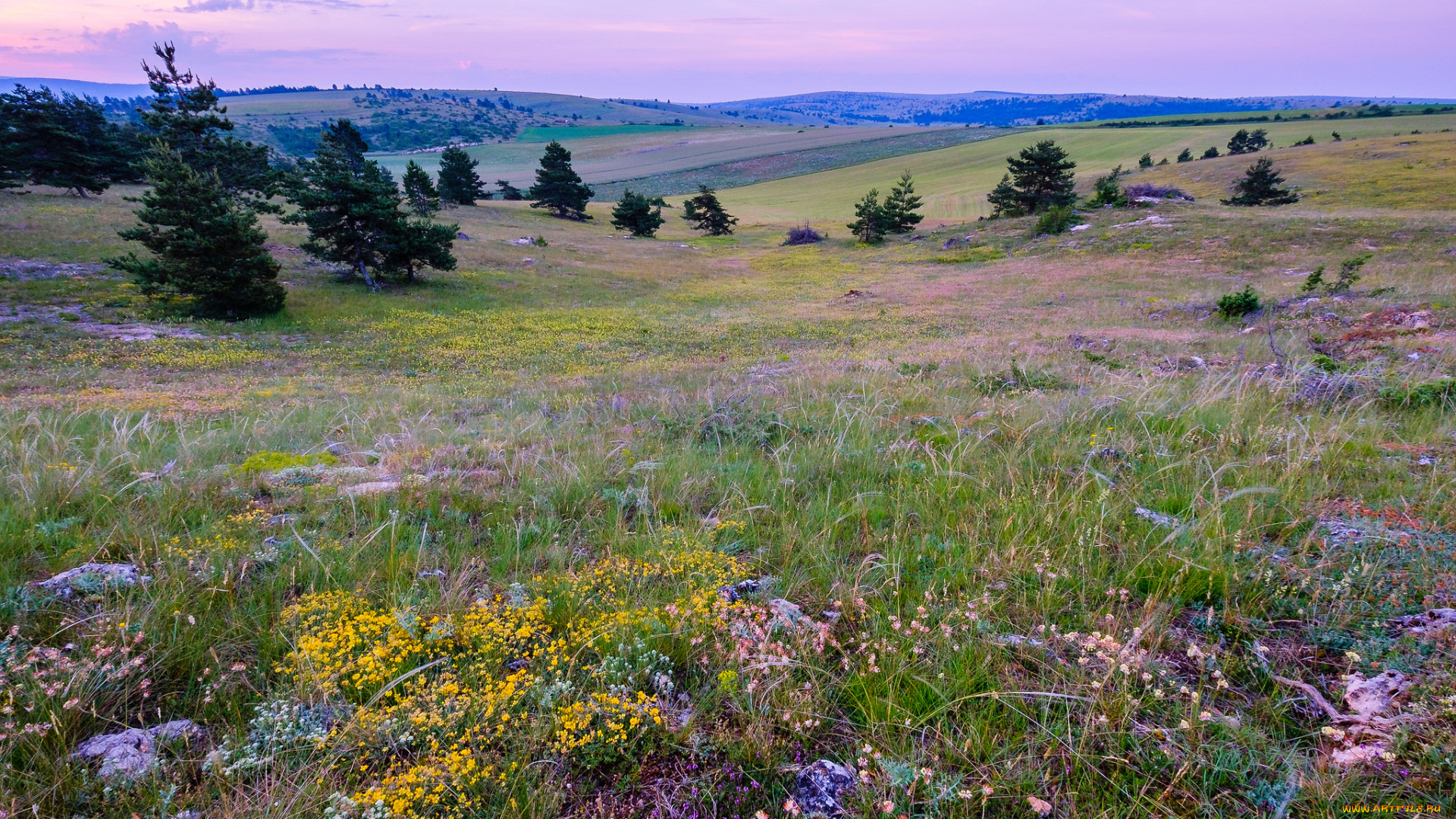 природа, пейзажи, простор