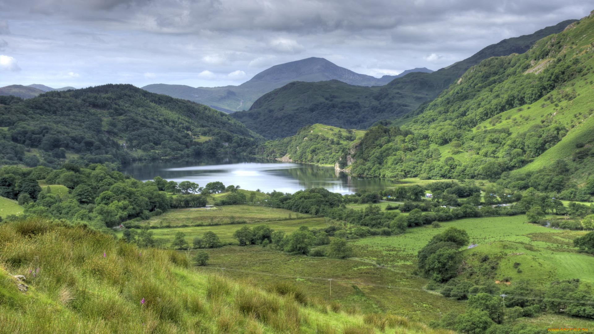 природа, пейзажи, простор