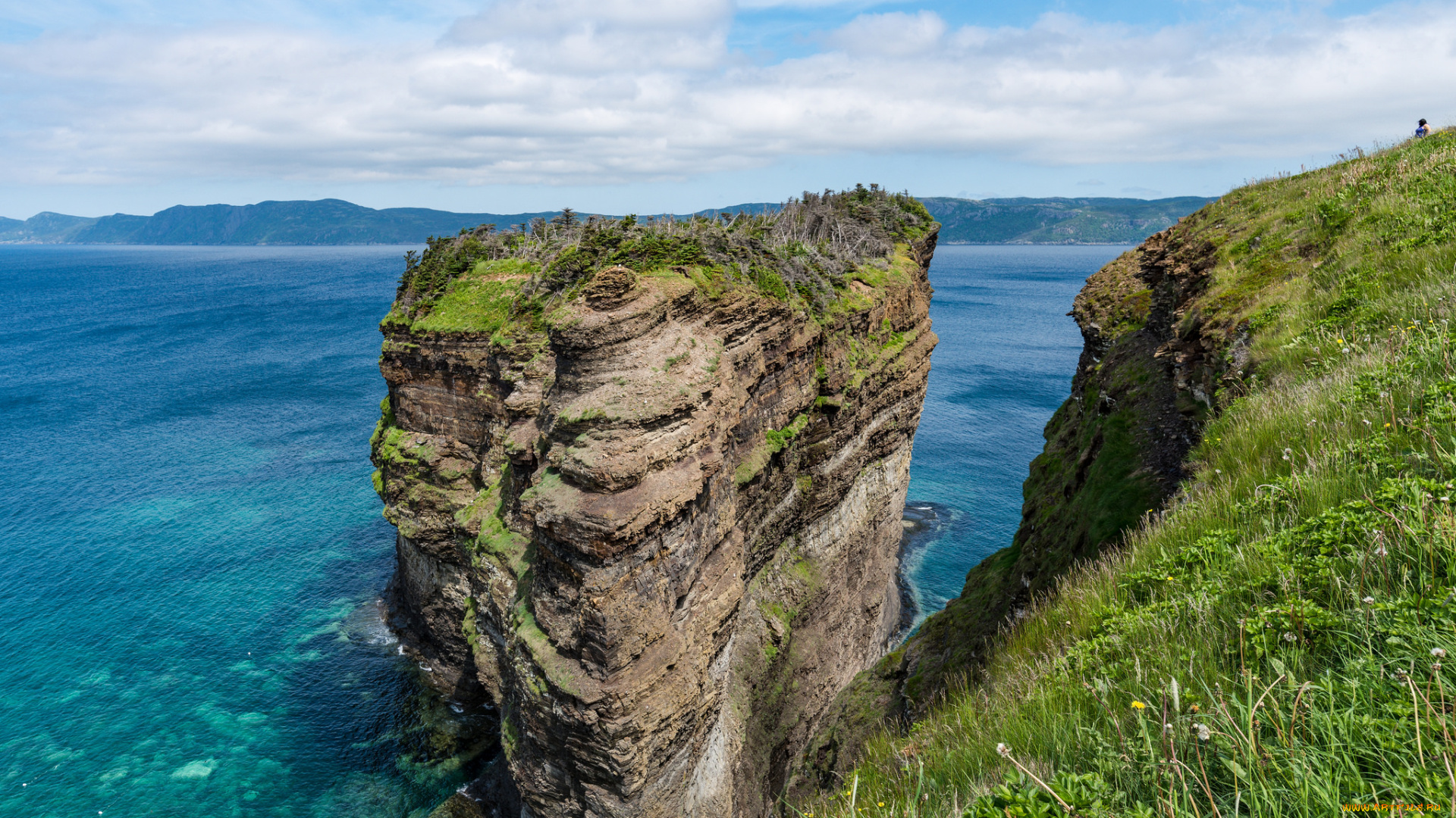 природа, побережье, простор