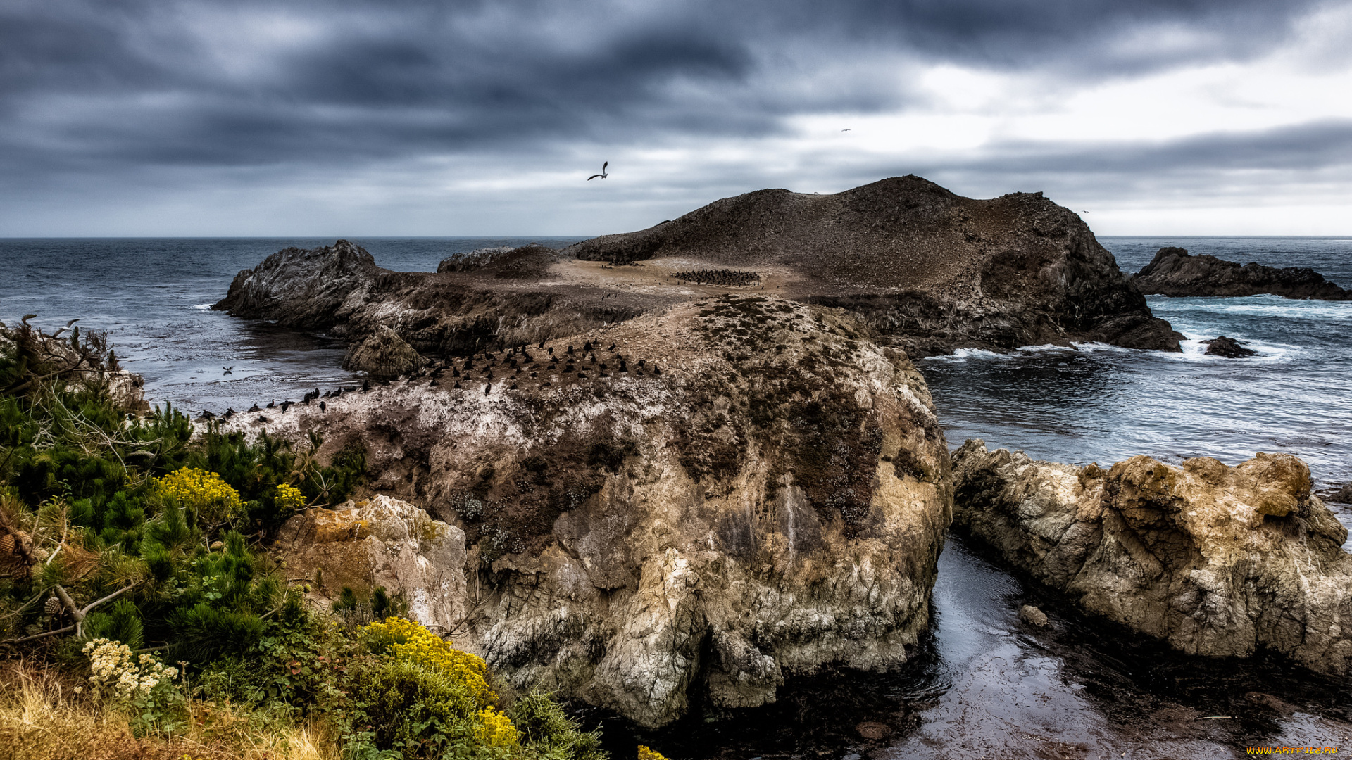 природа, побережье, простор