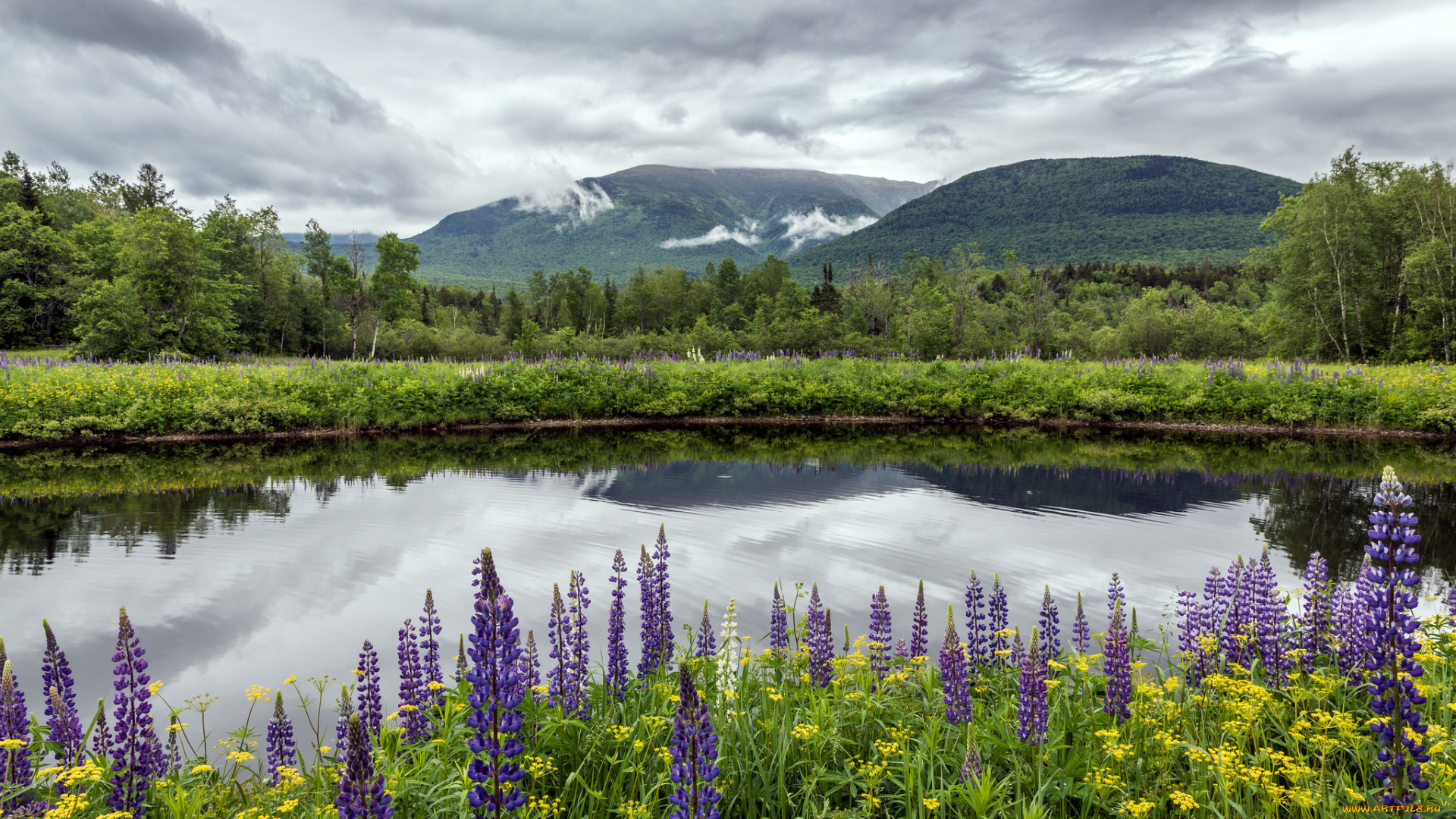природа, реки, озера, простор