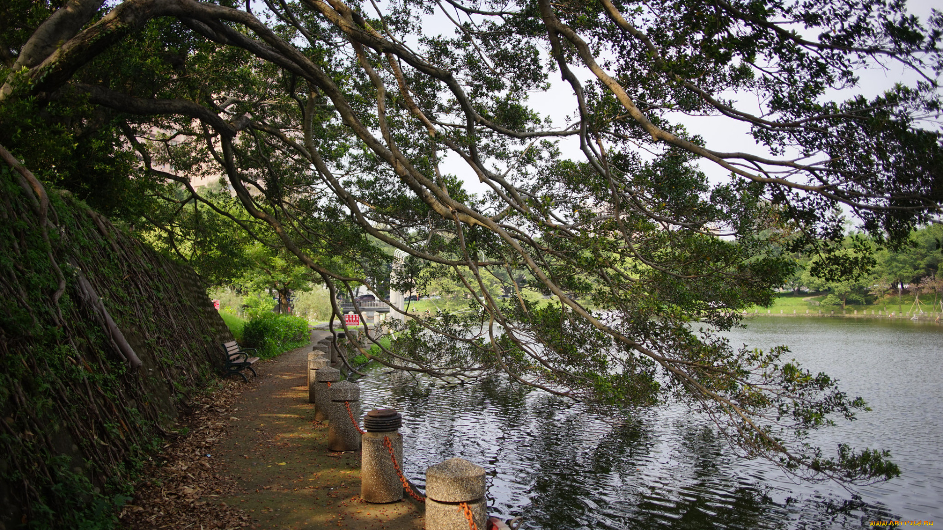 природа, реки, озера, простор